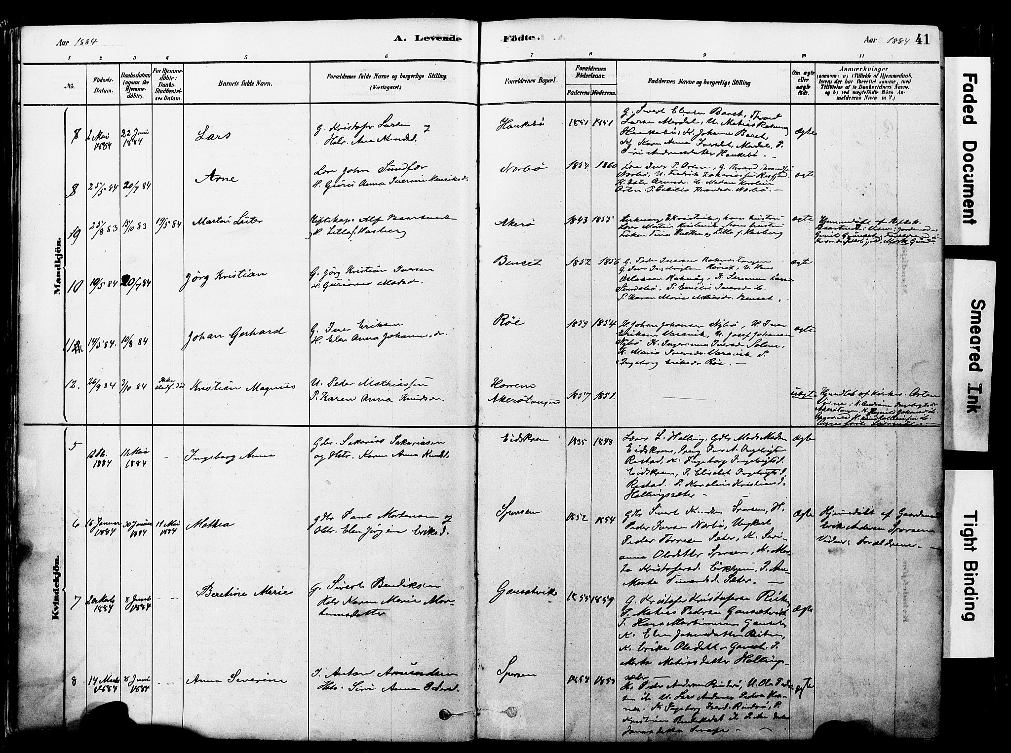 Ministerialprotokoller, klokkerbøker og fødselsregistre - Møre og Romsdal, AV/SAT-A-1454/560/L0721: Parish register (official) no. 560A05, 1878-1917, p. 41