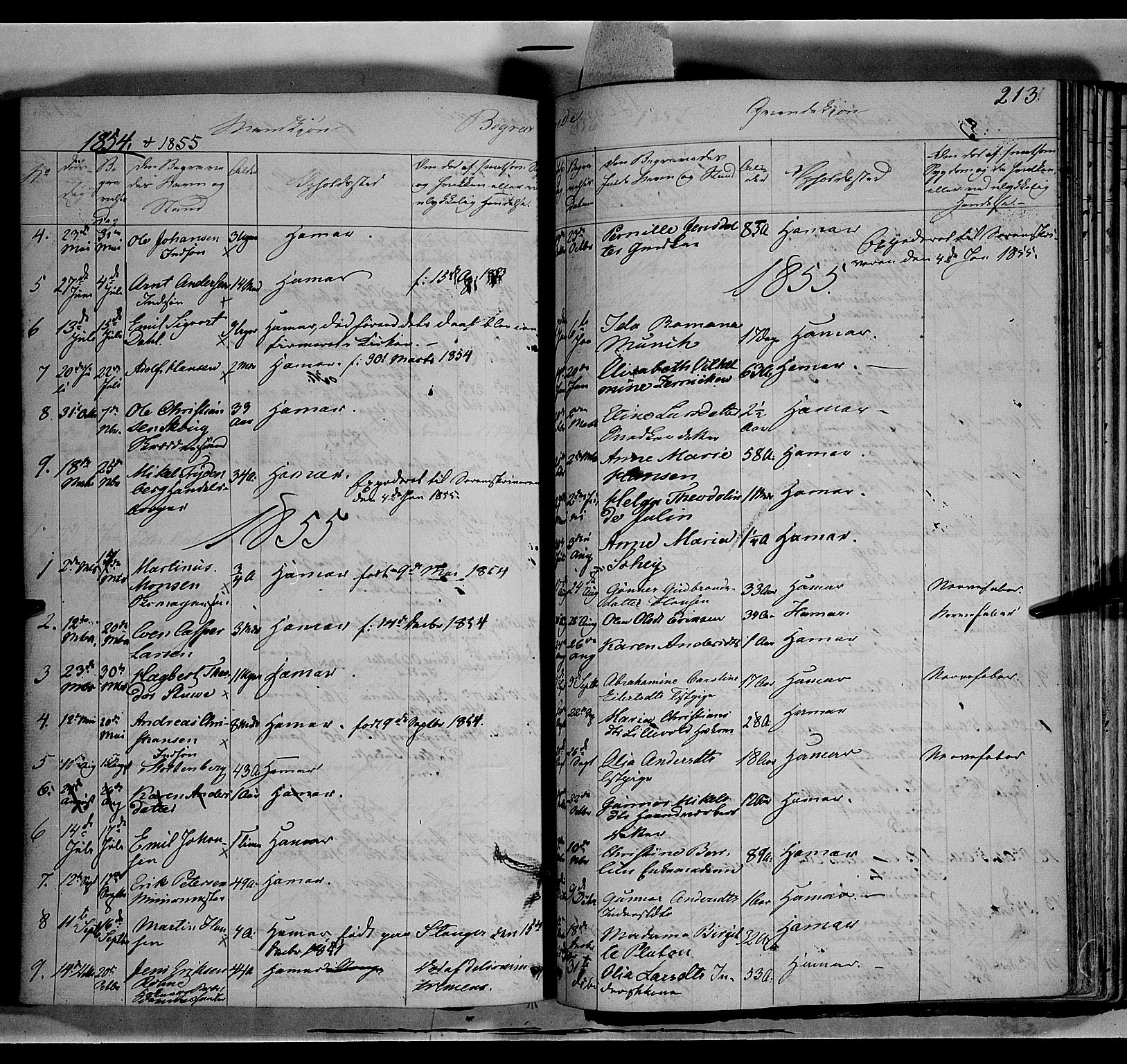 Vang prestekontor, Hedmark, SAH/PREST-008/H/Ha/Haa/L0011: Parish register (official) no. 11, 1852-1877, p. 213