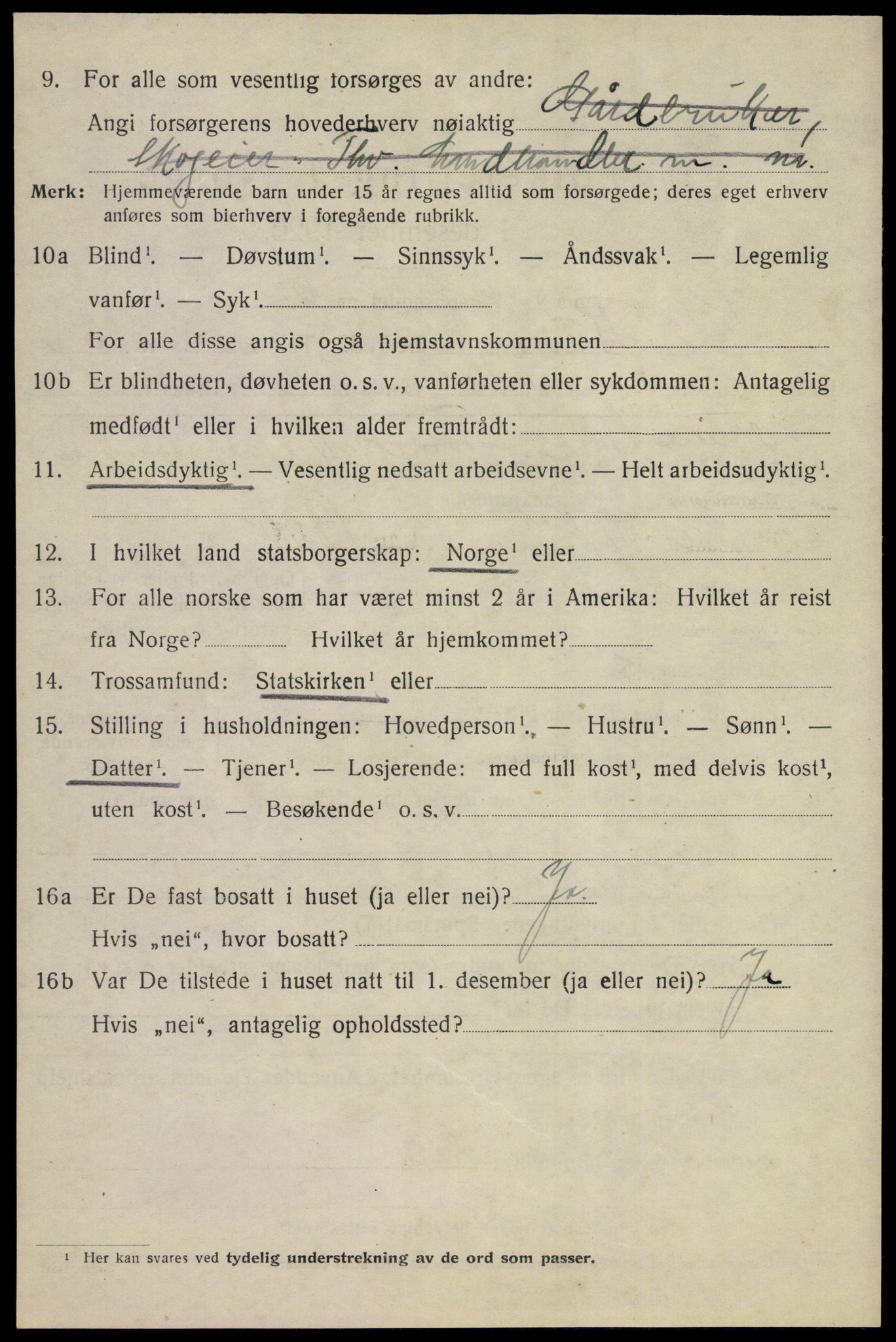 SAKO, 1920 census for Nes (Buskerud), 1920, p. 4347