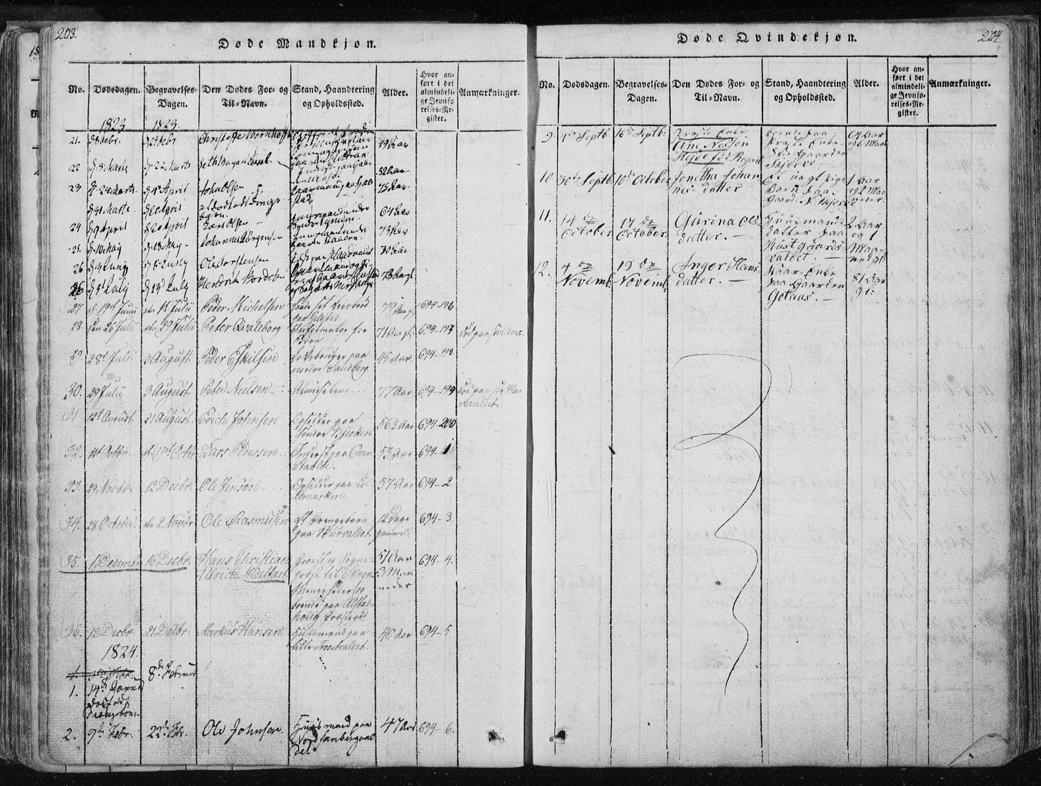 Ministerialprotokoller, klokkerbøker og fødselsregistre - Nord-Trøndelag, SAT/A-1458/717/L0148: Parish register (official) no. 717A04 /1, 1816-1825, p. 203-204