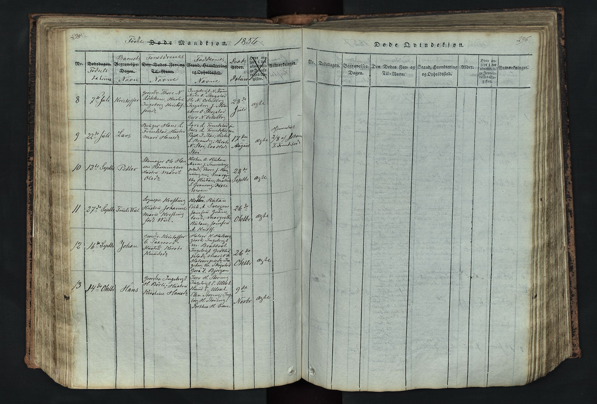 Kvikne prestekontor, SAH/PREST-064/H/Ha/Hab/L0001: Parish register (copy) no. 1, 1815-1895, p. 295-296