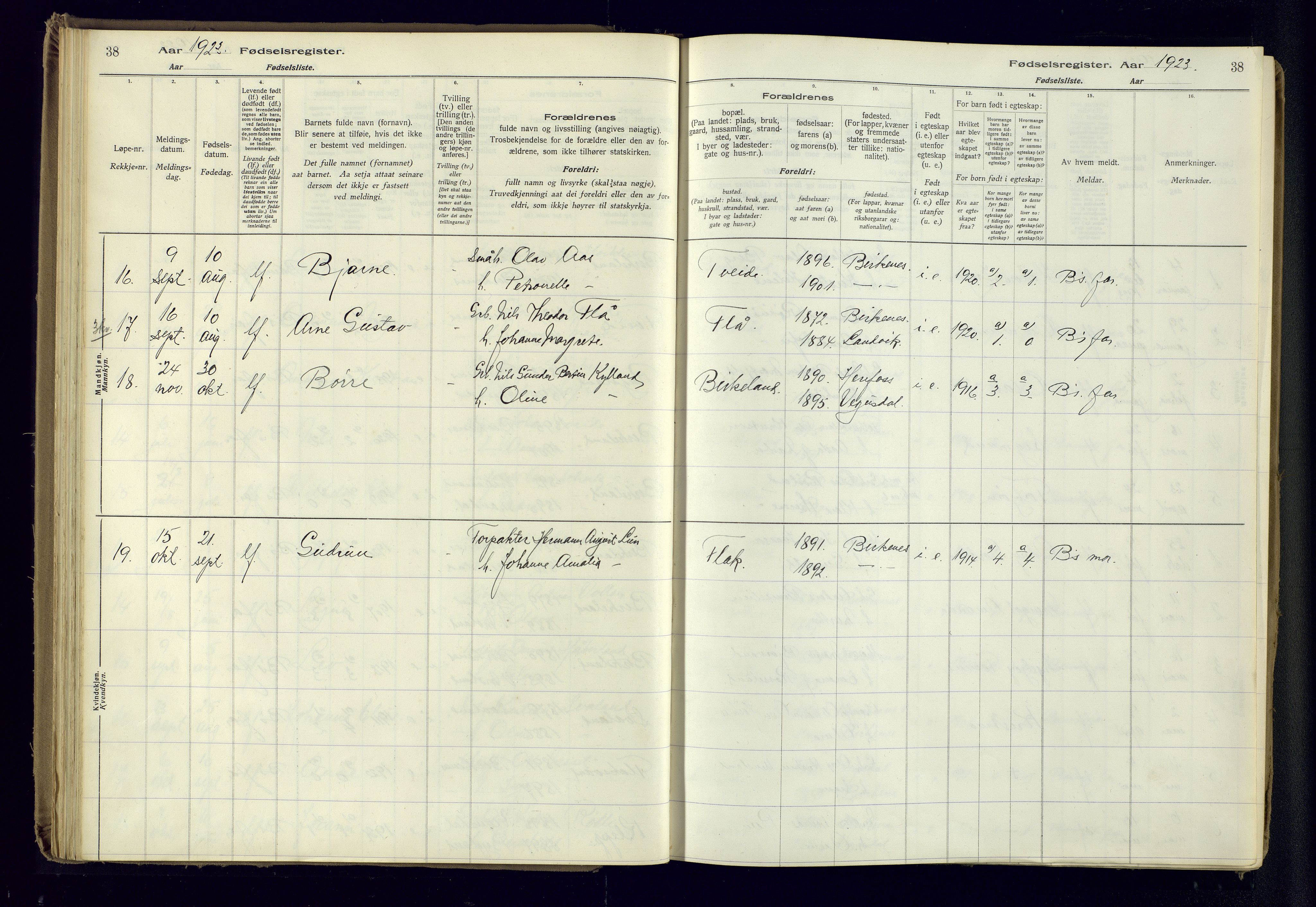 Birkenes sokneprestkontor, AV/SAK-1111-0004/J/Ja/L0001: Birth register no. II.6.4, 1916-1962, p. 38