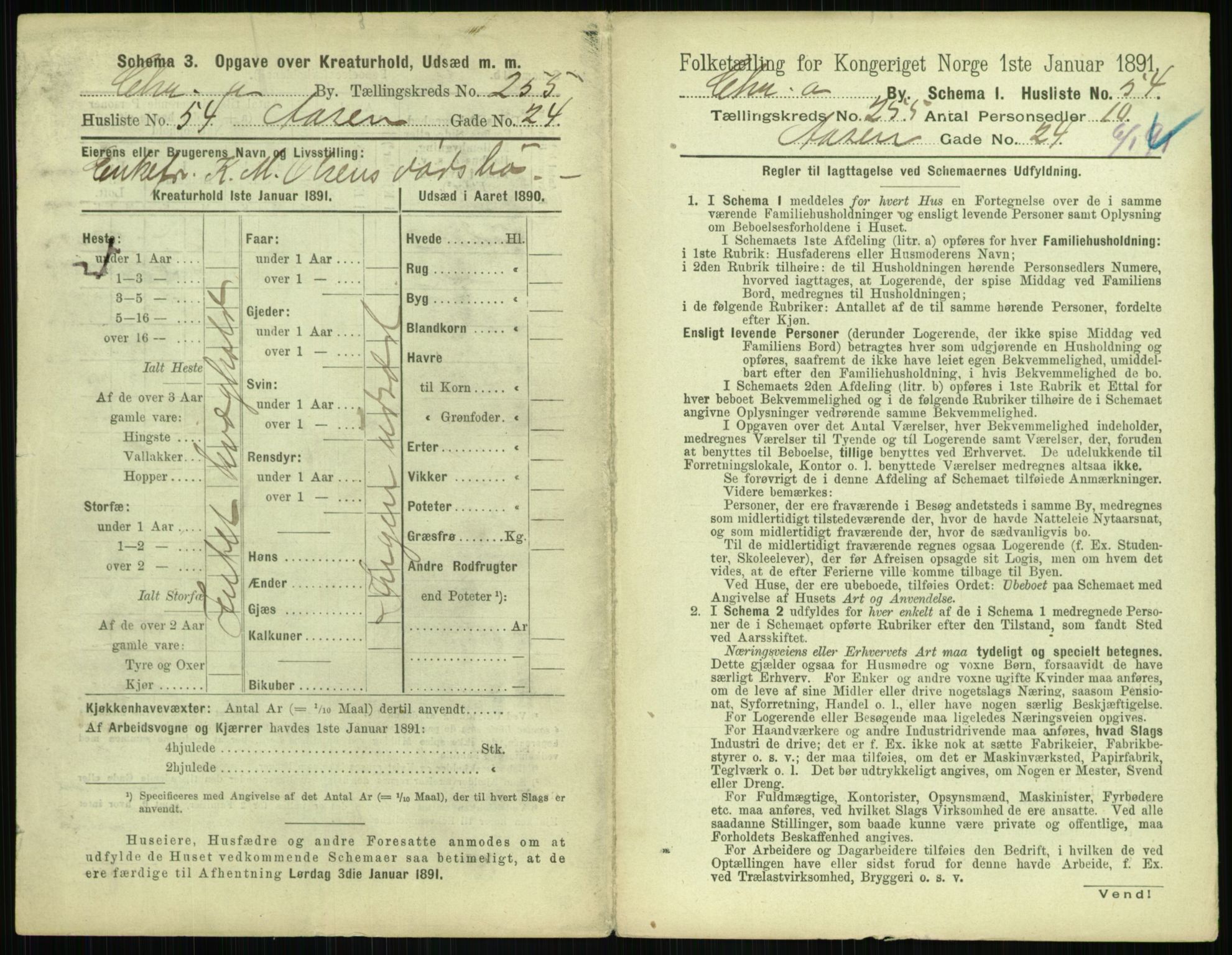 RA, 1891 census for 0301 Kristiania, 1891, p. 155089