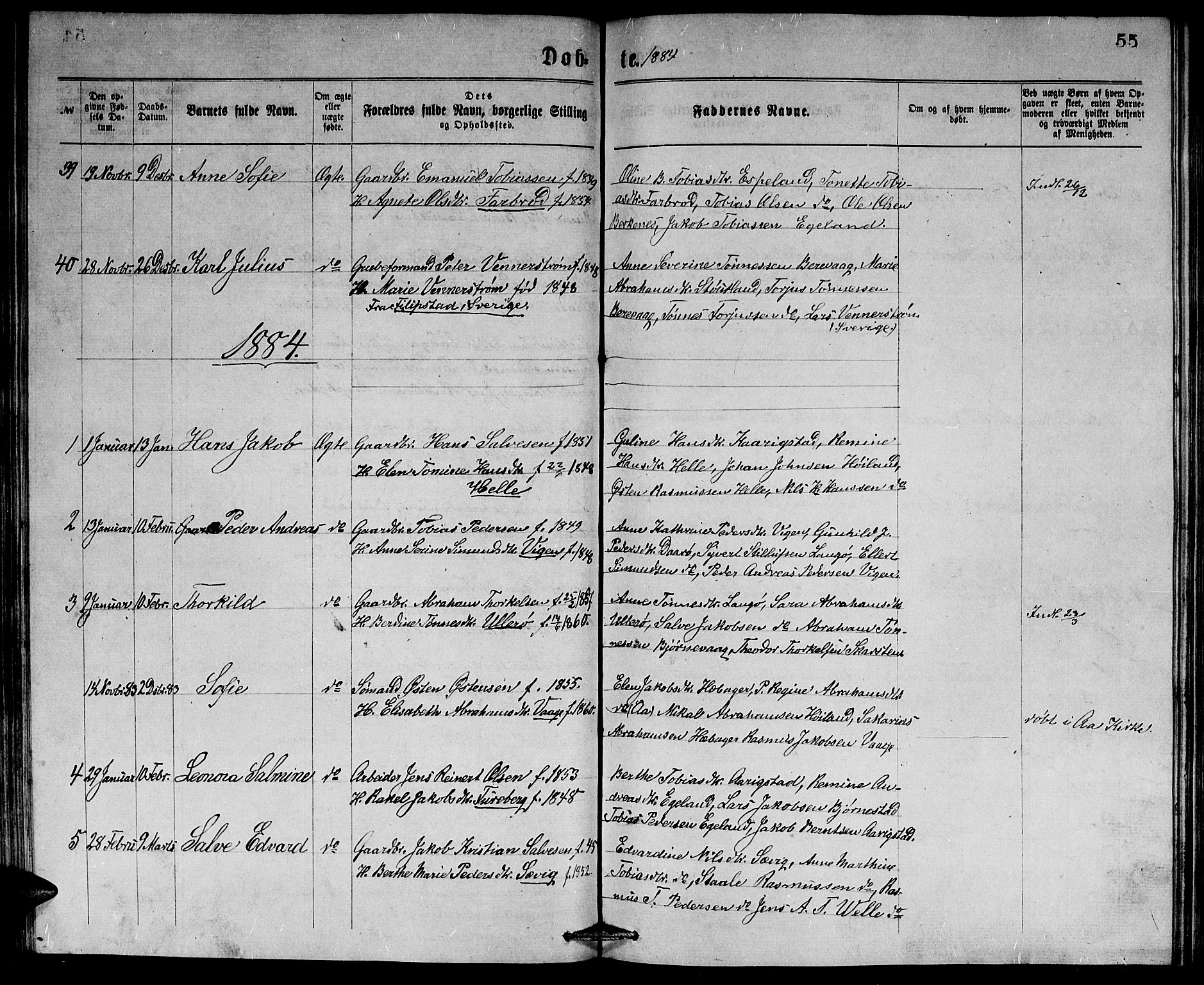 Herad sokneprestkontor, SAK/1111-0018/F/Fb/Fbb/L0003: Parish register (copy) no. B 3, 1872-1889, p. 55