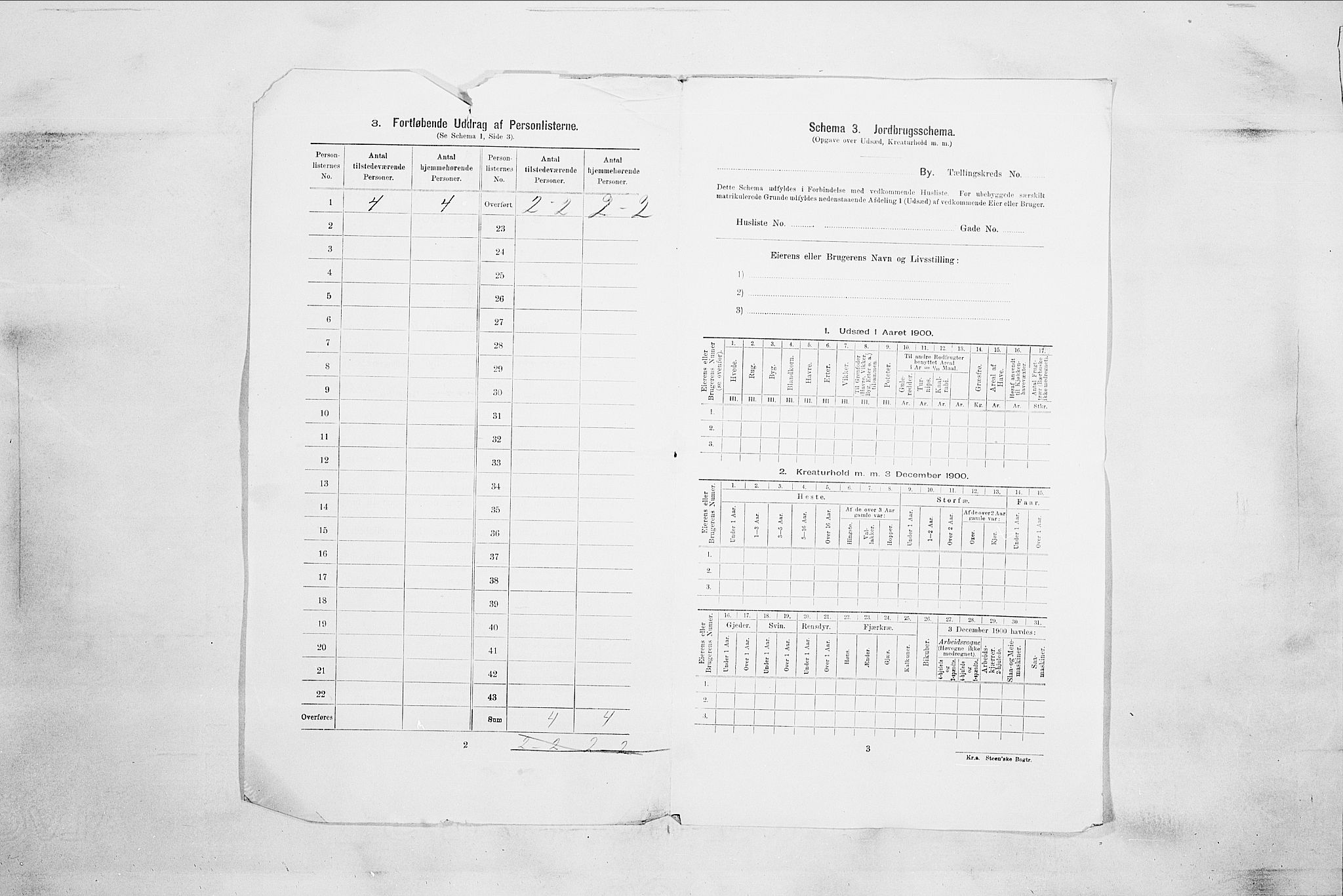 RA, 1900 census for Drammen, 1900, p. 13123