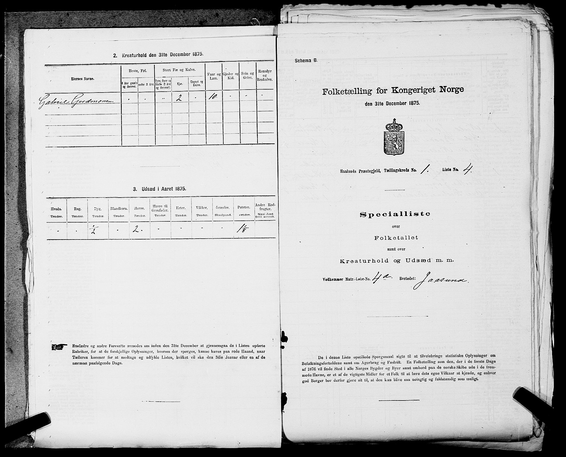 SAST, 1875 census for 1124P Håland, 1875, p. 59