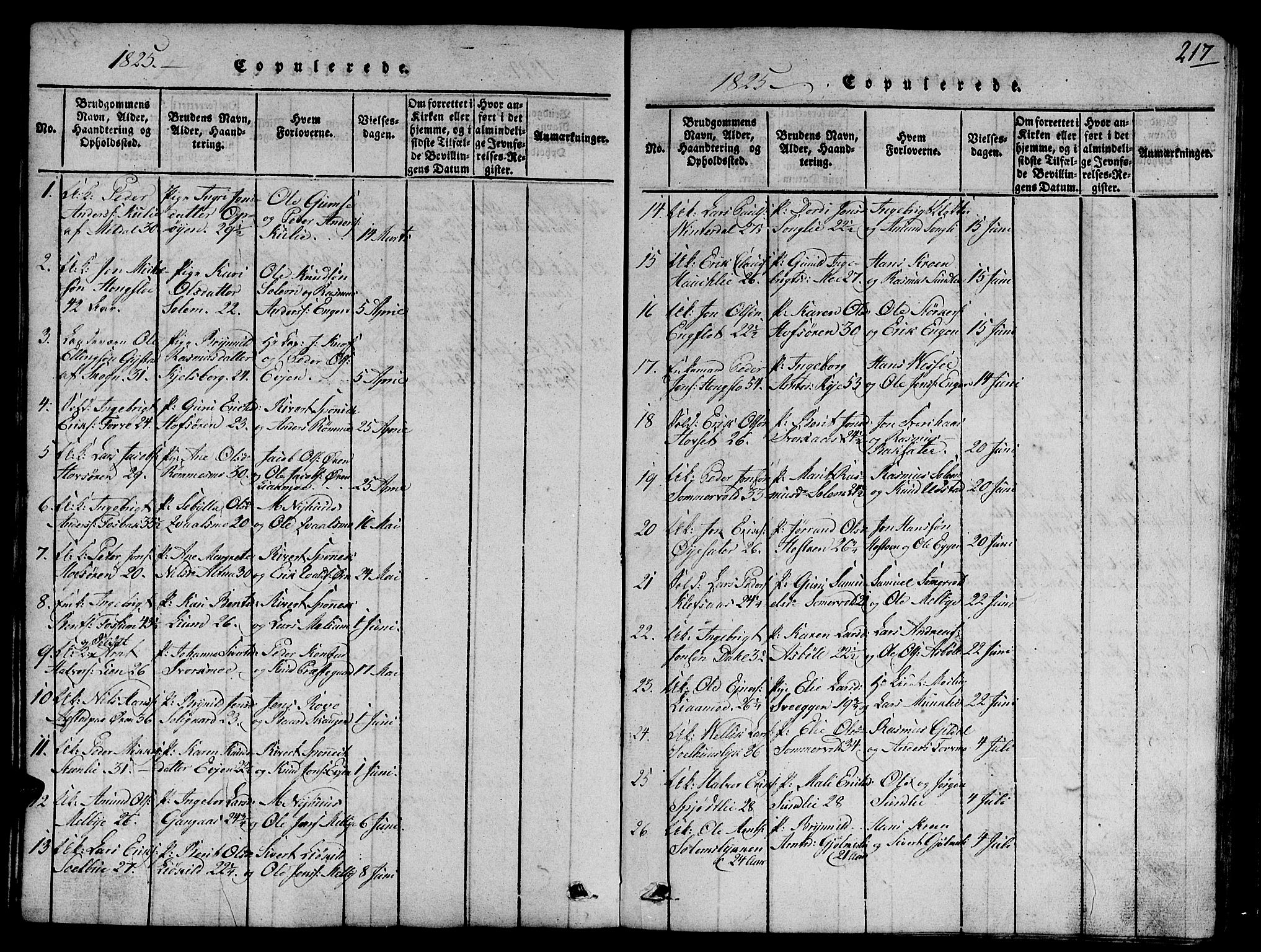 Ministerialprotokoller, klokkerbøker og fødselsregistre - Sør-Trøndelag, SAT/A-1456/668/L0803: Parish register (official) no. 668A03, 1800-1826, p. 217