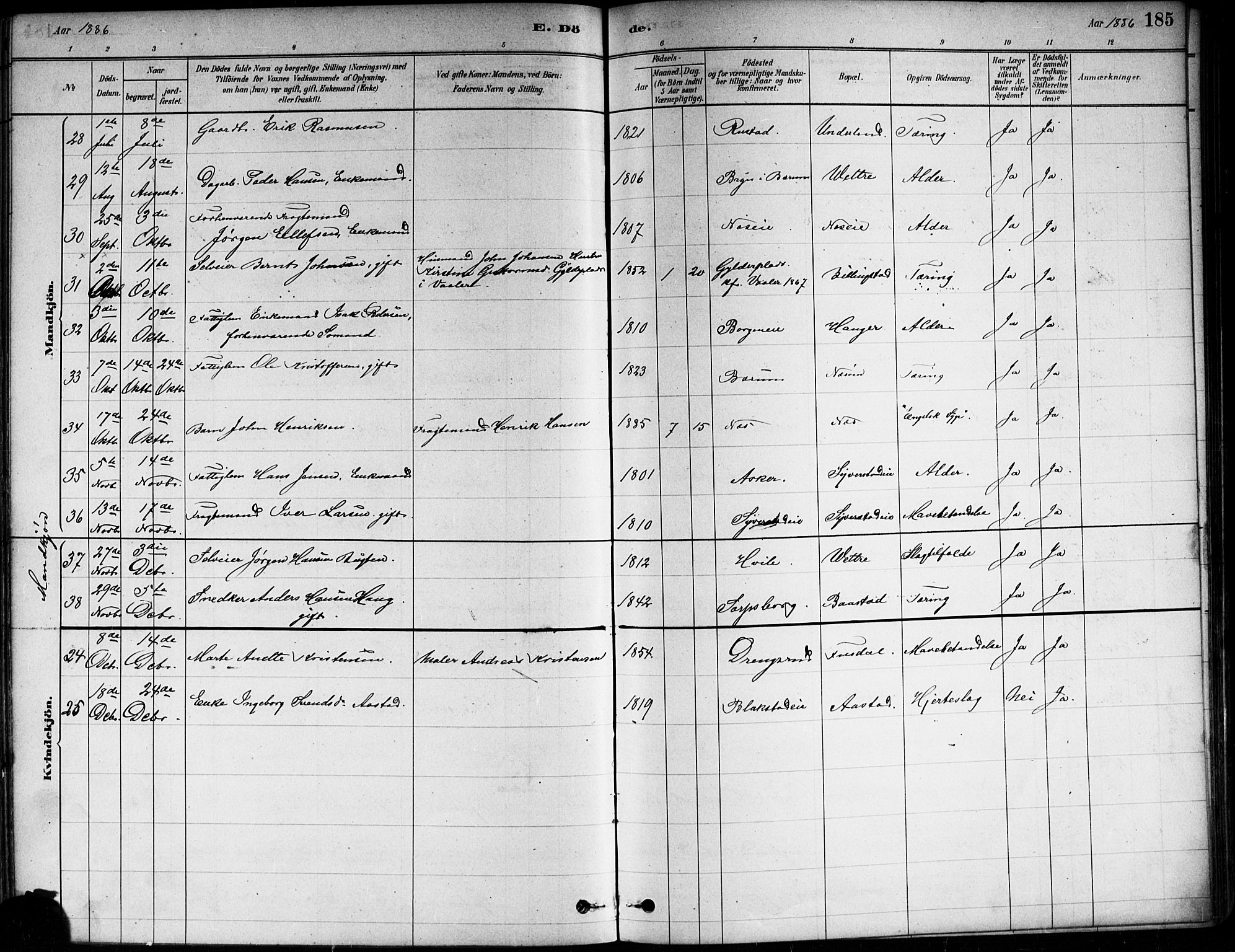 Asker prestekontor Kirkebøker, AV/SAO-A-10256a/F/Fa/L0013: Parish register (official) no. I 13, 1879-1896, p. 185