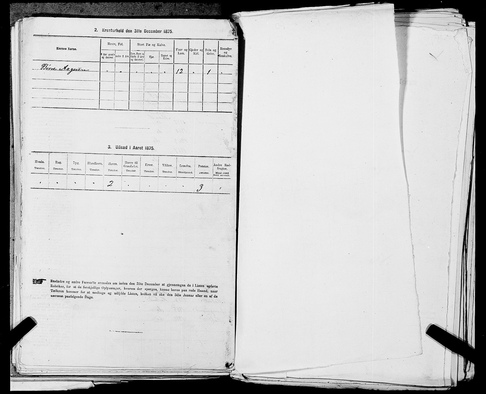 SAST, 1875 census for 1124P Håland, 1875, p. 1006