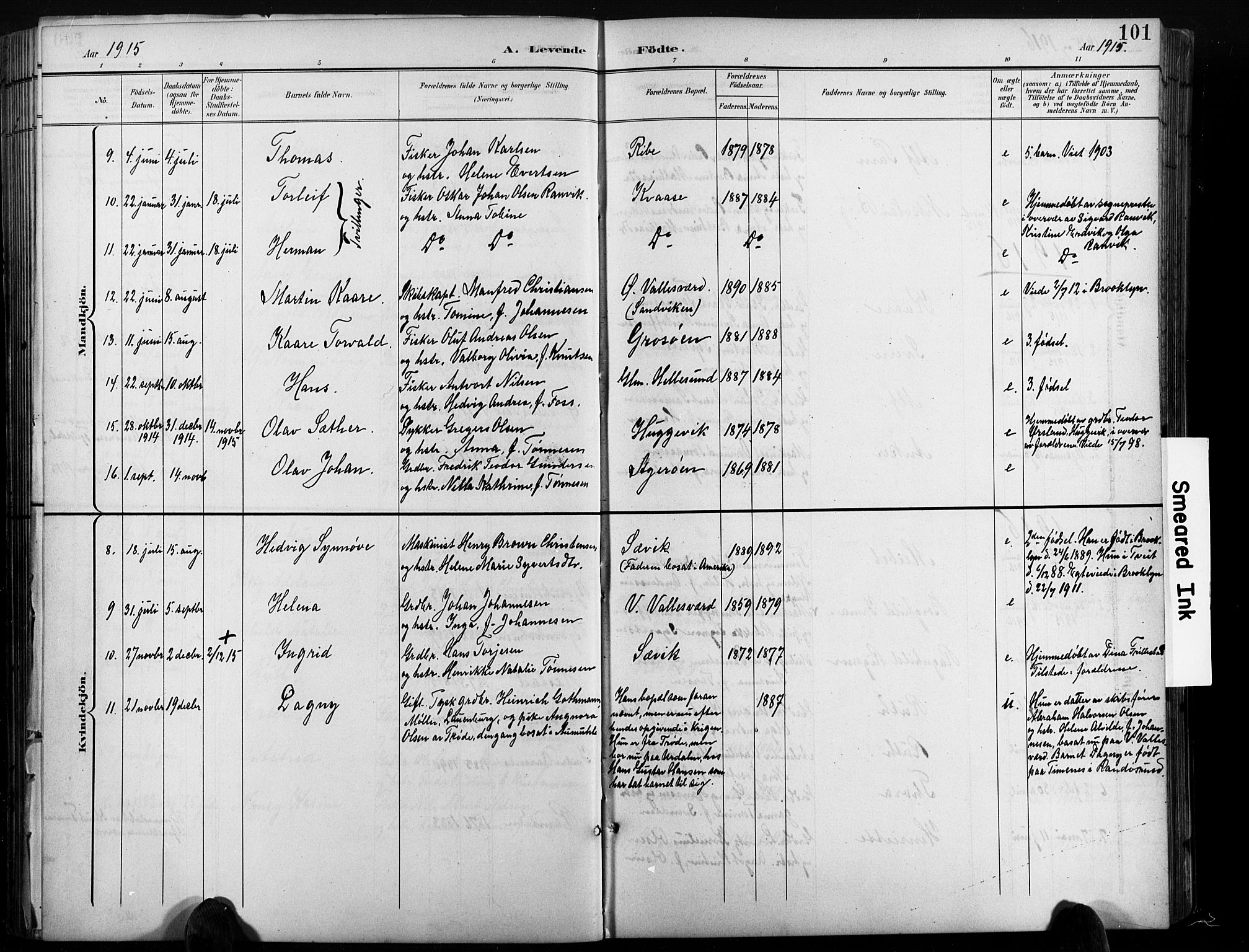 Høvåg sokneprestkontor, AV/SAK-1111-0025/F/Fb/L0005: Parish register (copy) no. B 5, 1898-1929, p. 101