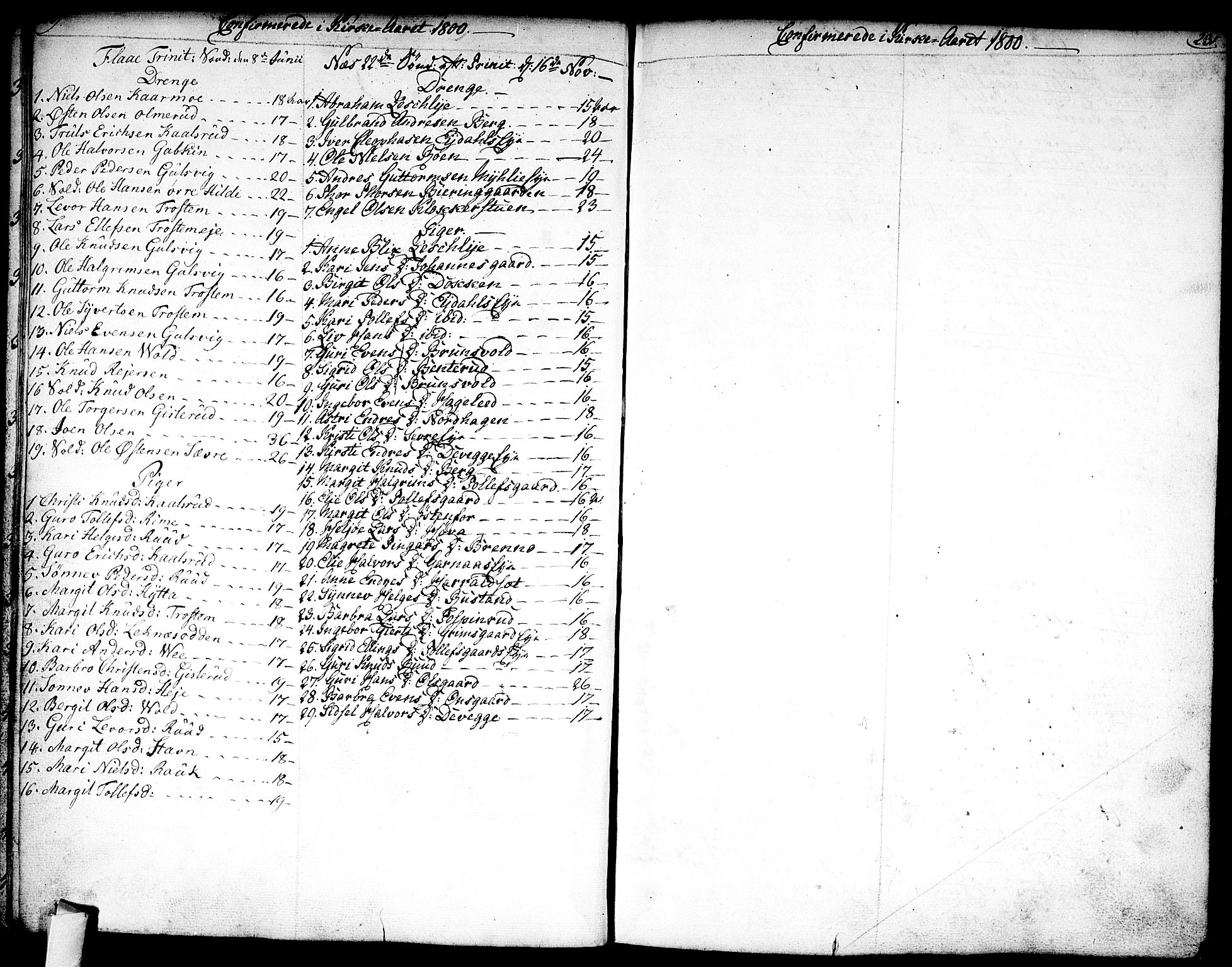 Nes kirkebøker, AV/SAKO-A-236/F/Fa/L0005: Parish register (official) no. 5, 1787-1807, p. 230-231