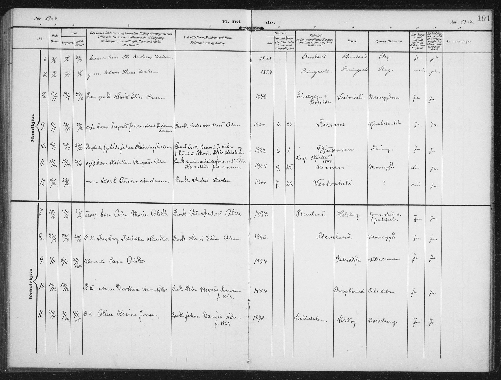 Ministerialprotokoller, klokkerbøker og fødselsregistre - Nordland, AV/SAT-A-1459/851/L0726: Parish register (copy) no. 851C01, 1902-1924, p. 191