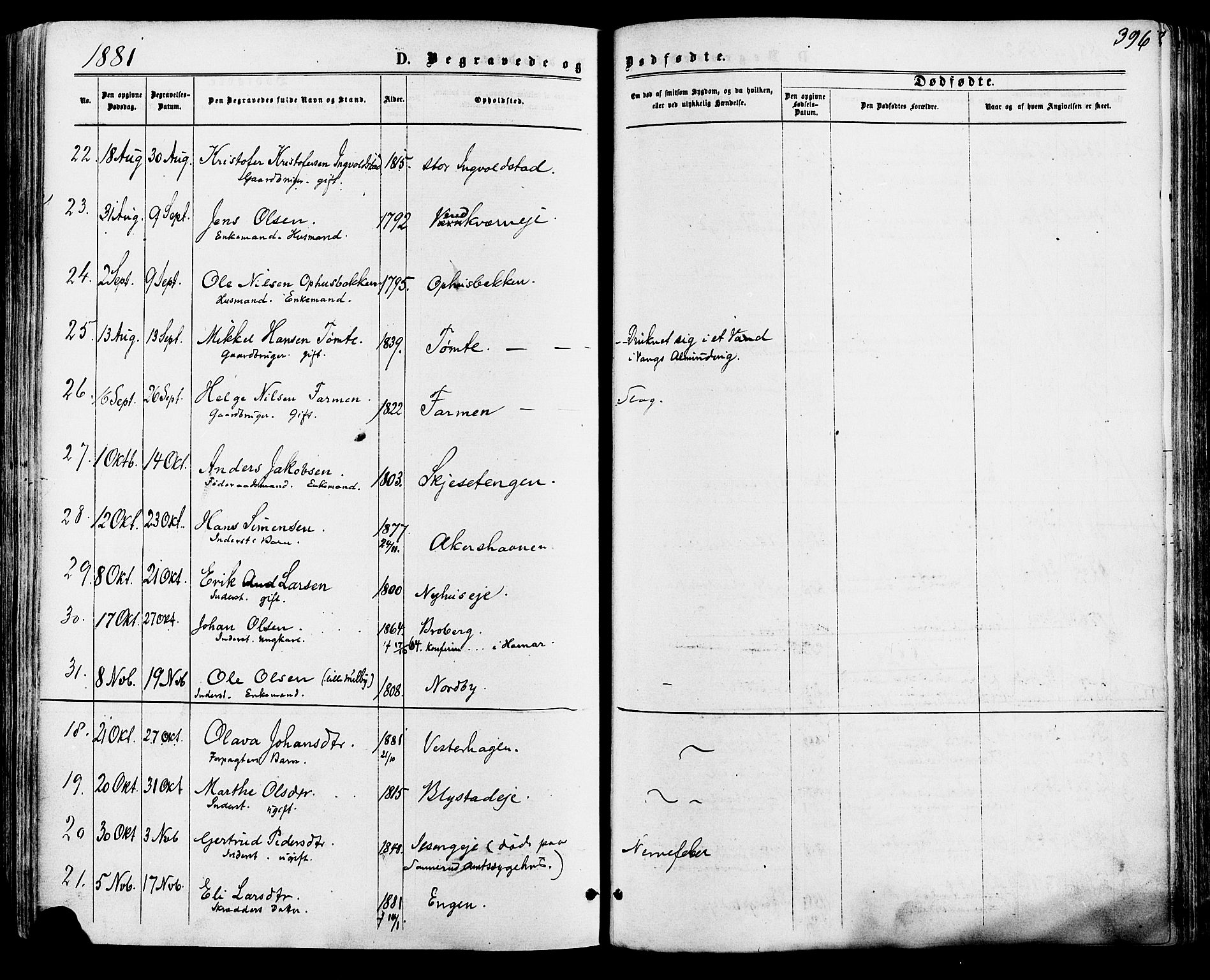 Vang prestekontor, Hedmark, SAH/PREST-008/H/Ha/Haa/L0015: Parish register (official) no. 15, 1871-1885, p. 396