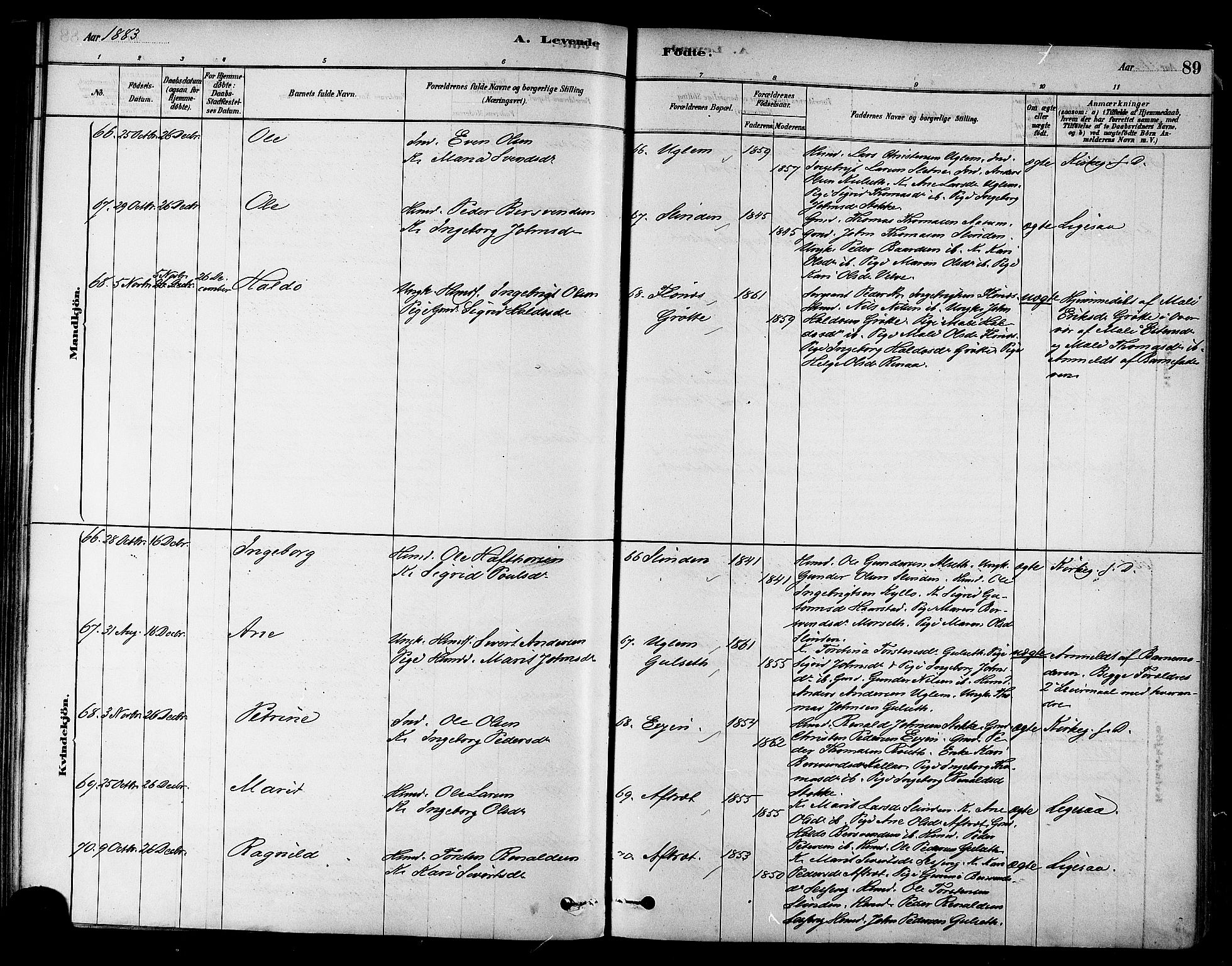 Ministerialprotokoller, klokkerbøker og fødselsregistre - Sør-Trøndelag, SAT/A-1456/695/L1148: Parish register (official) no. 695A08, 1878-1891, p. 89