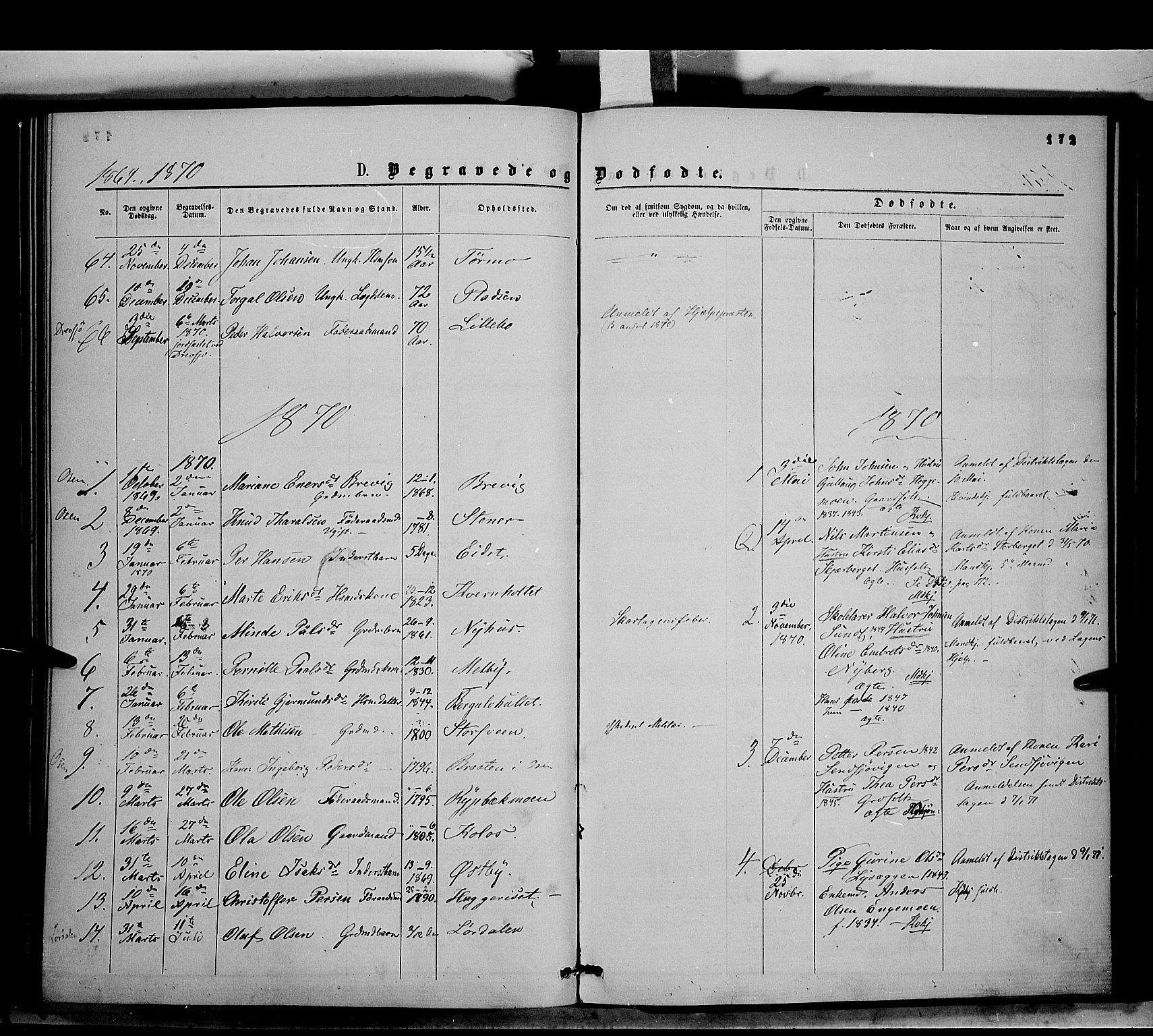 Trysil prestekontor, AV/SAH-PREST-046/H/Ha/Haa/L0006: Parish register (official) no. 6, 1866-1873, p. 172