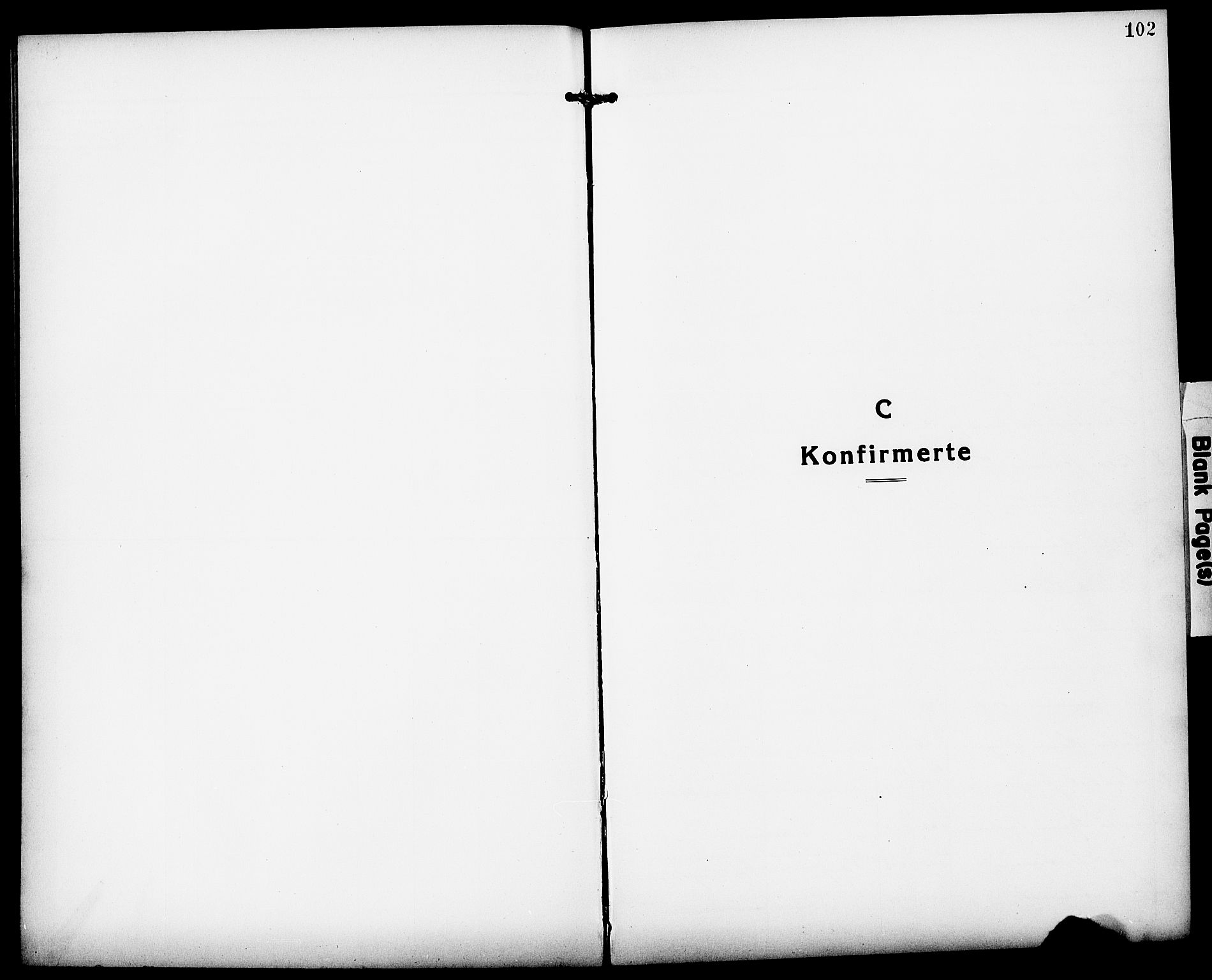 Løten prestekontor, SAH/PREST-022/L/La/L0008: Parish register (copy) no. 8, 1920-1929, p. 102