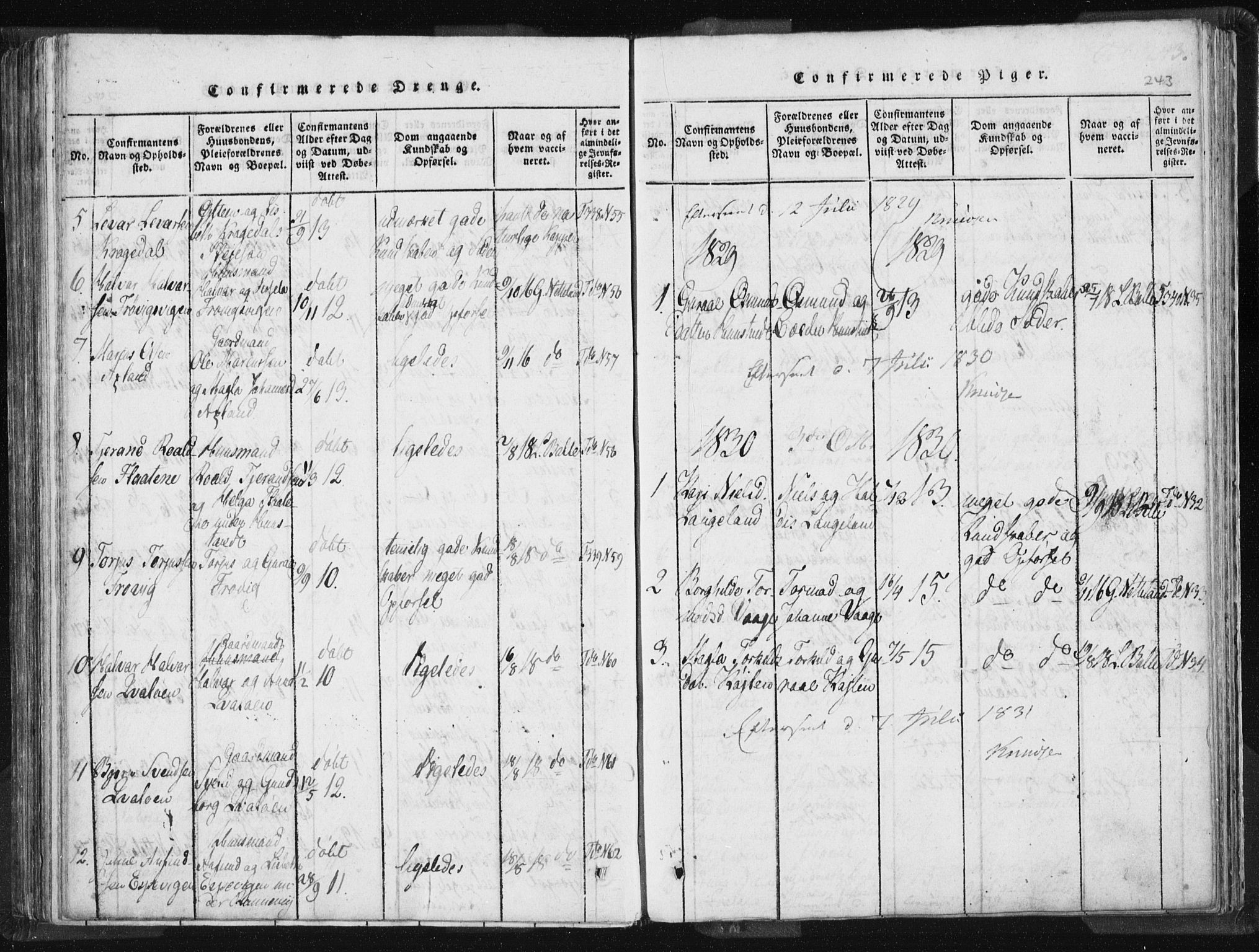 Vikedal sokneprestkontor, AV/SAST-A-101840/01/IV: Parish register (official) no. A 5, 1817-1850, p. 243