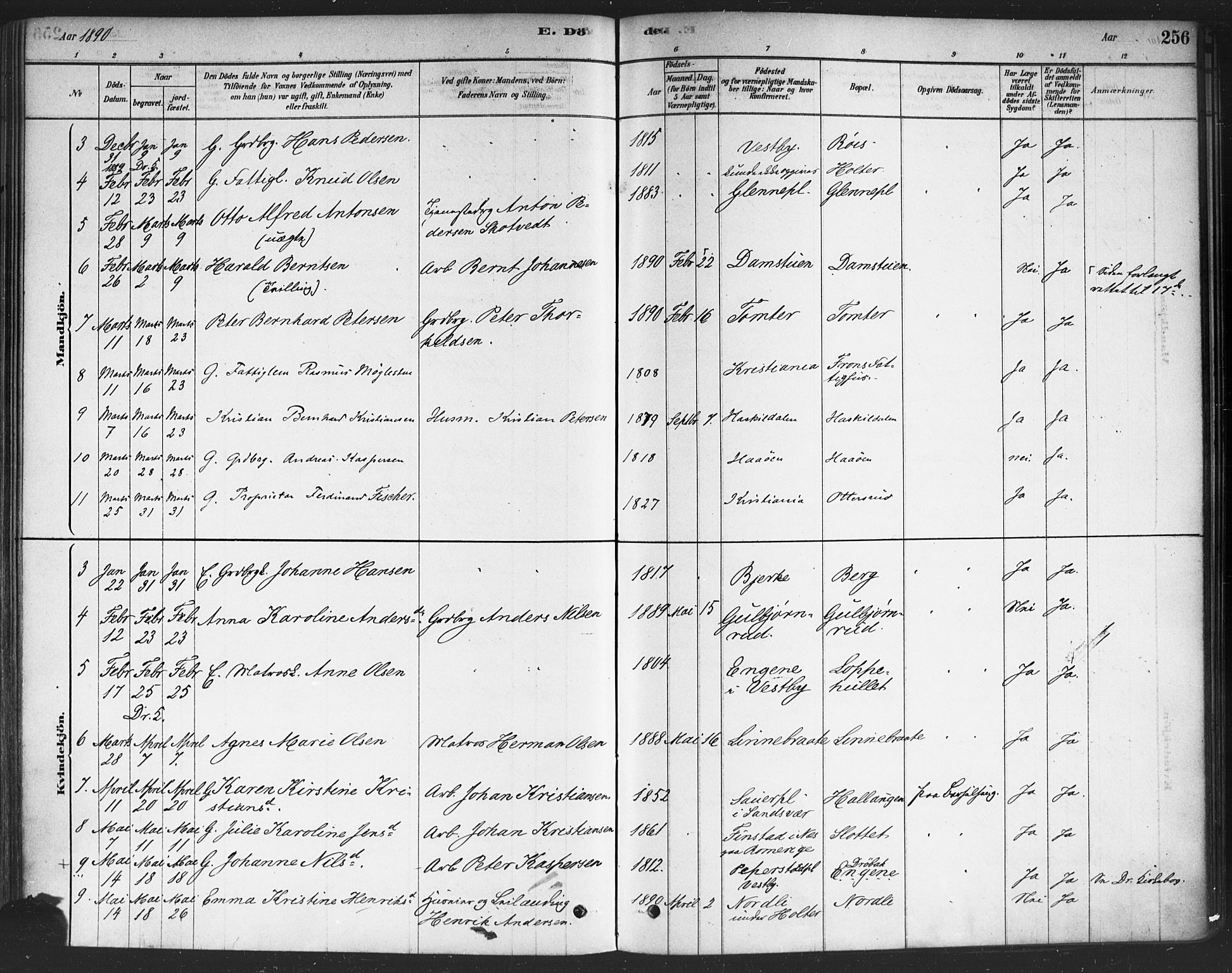 Drøbak prestekontor Kirkebøker, SAO/A-10142a/F/Fc/L0002: Parish register (official) no. III 2, 1878-1891, p. 256