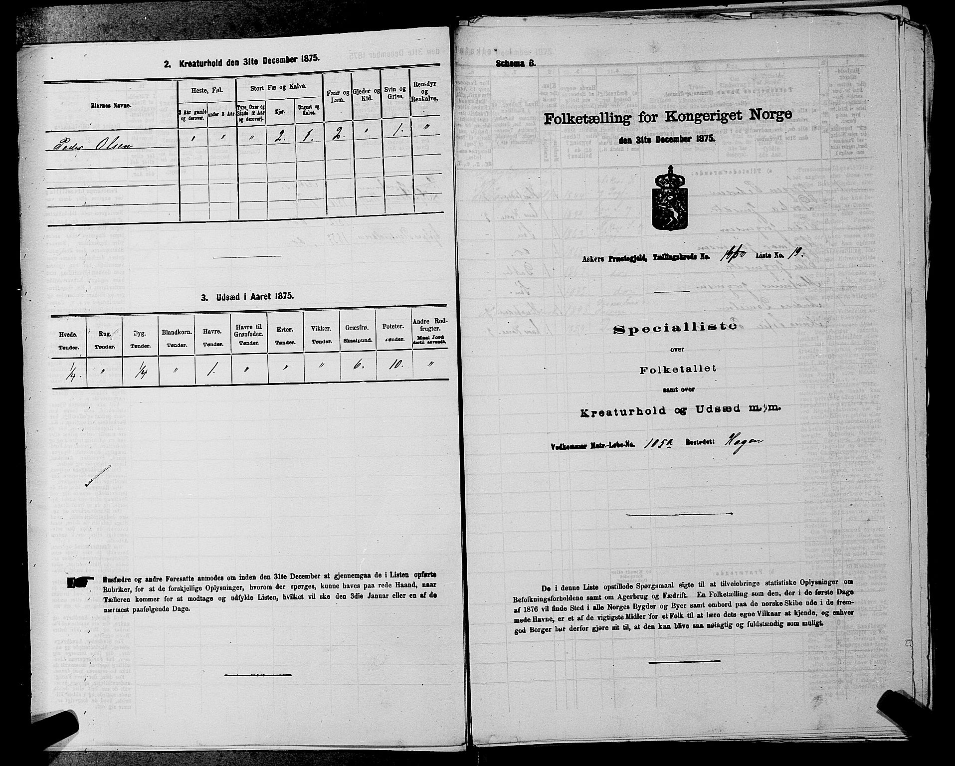 RA, 1875 census for 0220P Asker, 1875, p. 787