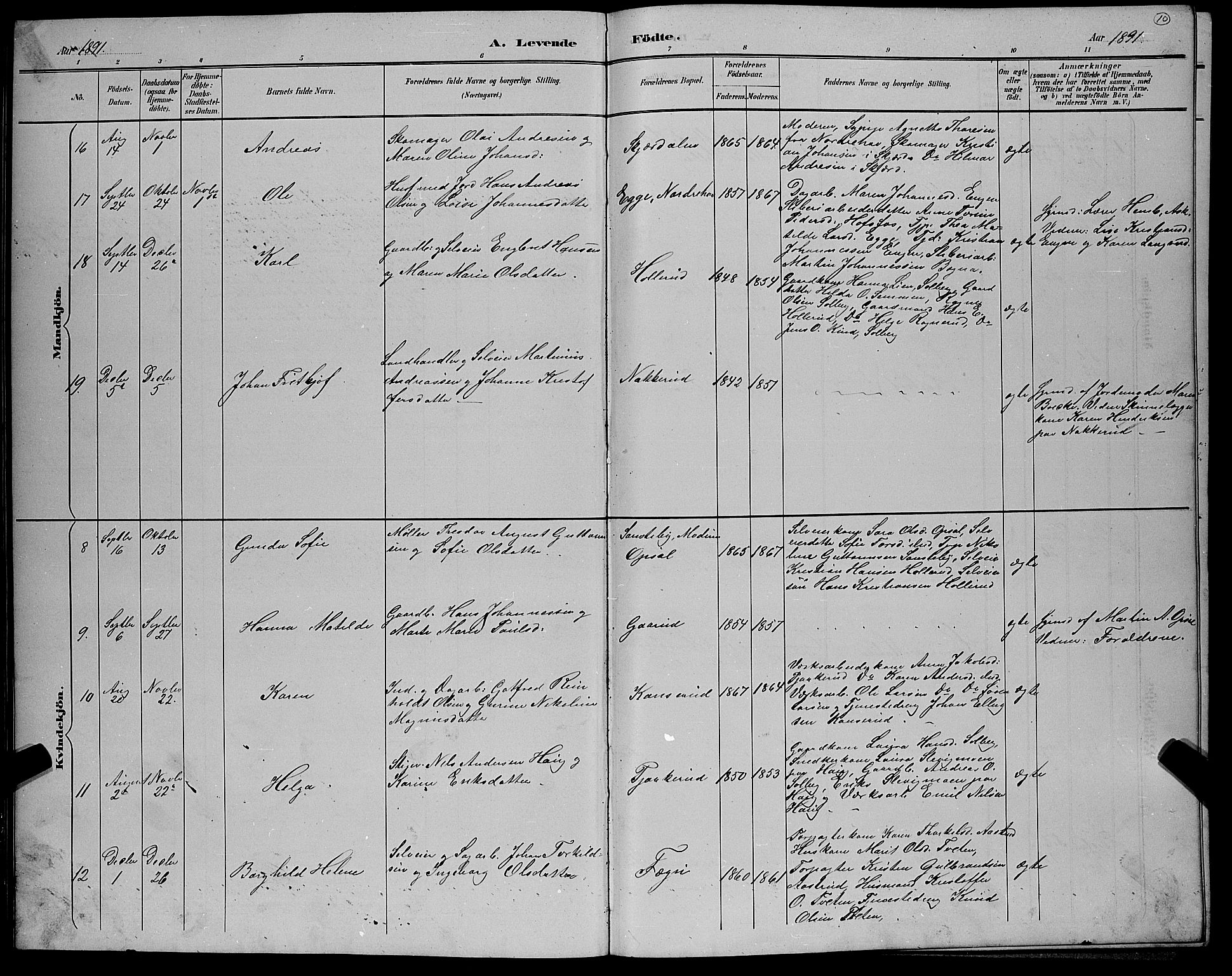 Hole kirkebøker, SAKO/A-228/G/Gb/L0003: Parish register (copy) no. II 3, 1890-1901, p. 10