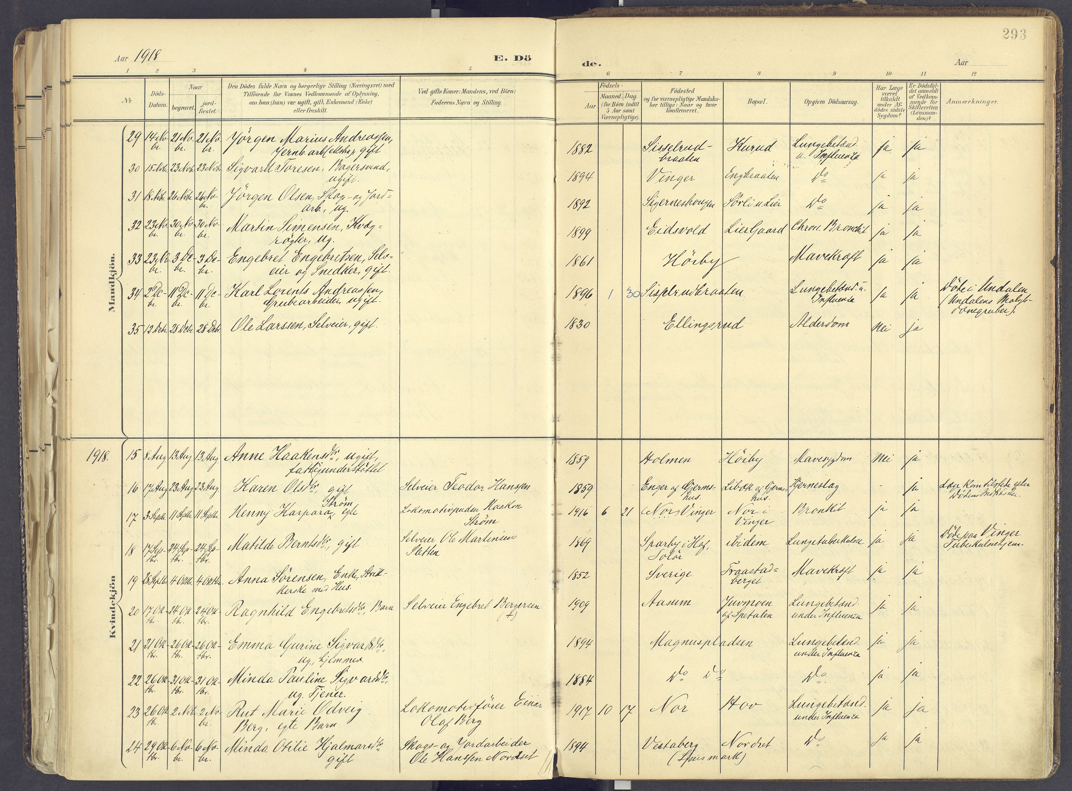 Vinger prestekontor, AV/SAH-PREST-024/H/Ha/Haa/L0017: Parish register (official) no. 17, 1901-1927, p. 293