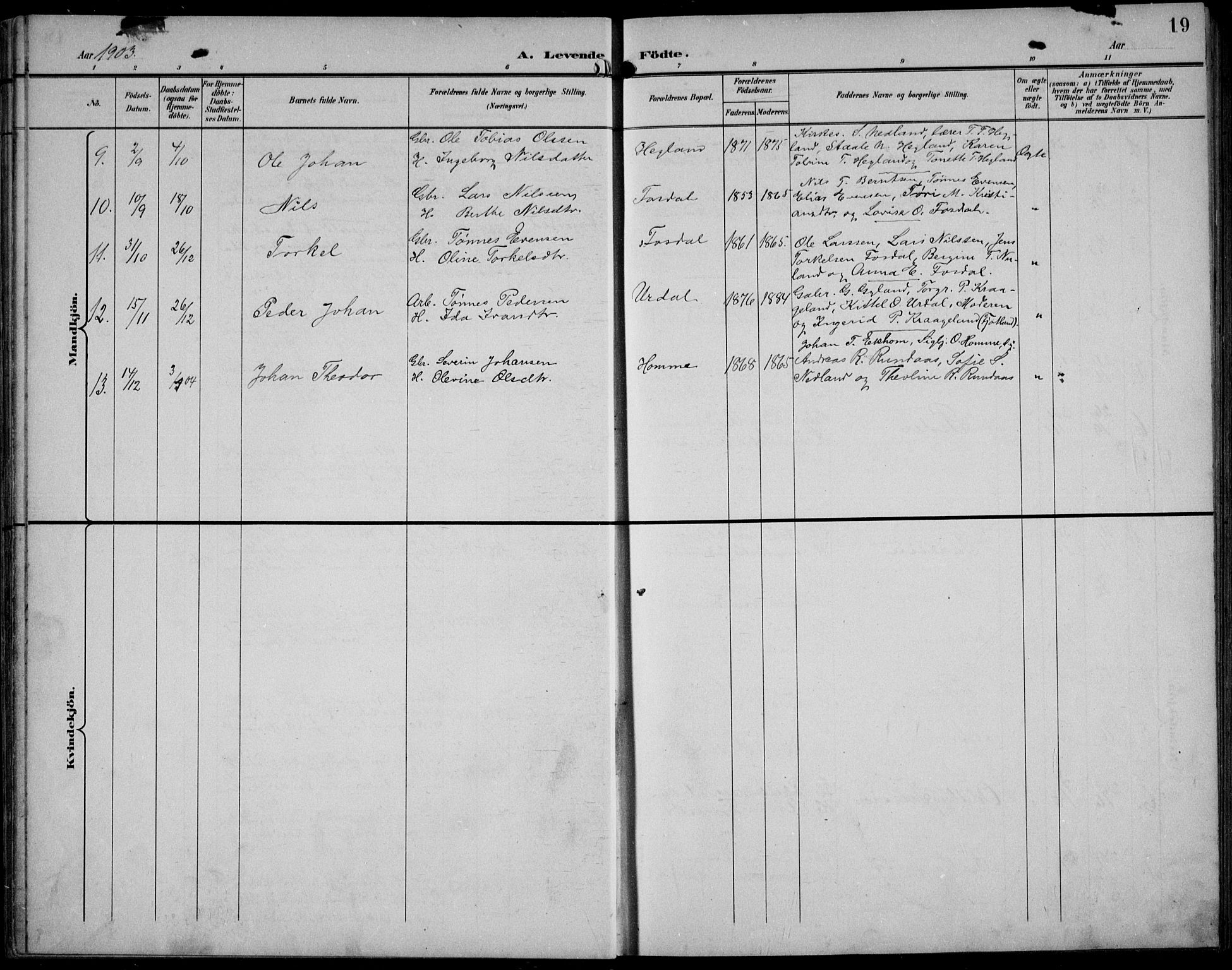 Bakke sokneprestkontor, AV/SAK-1111-0002/F/Fb/Fbb/L0004: Parish register (copy) no. B 4, 1896-1927, p. 19