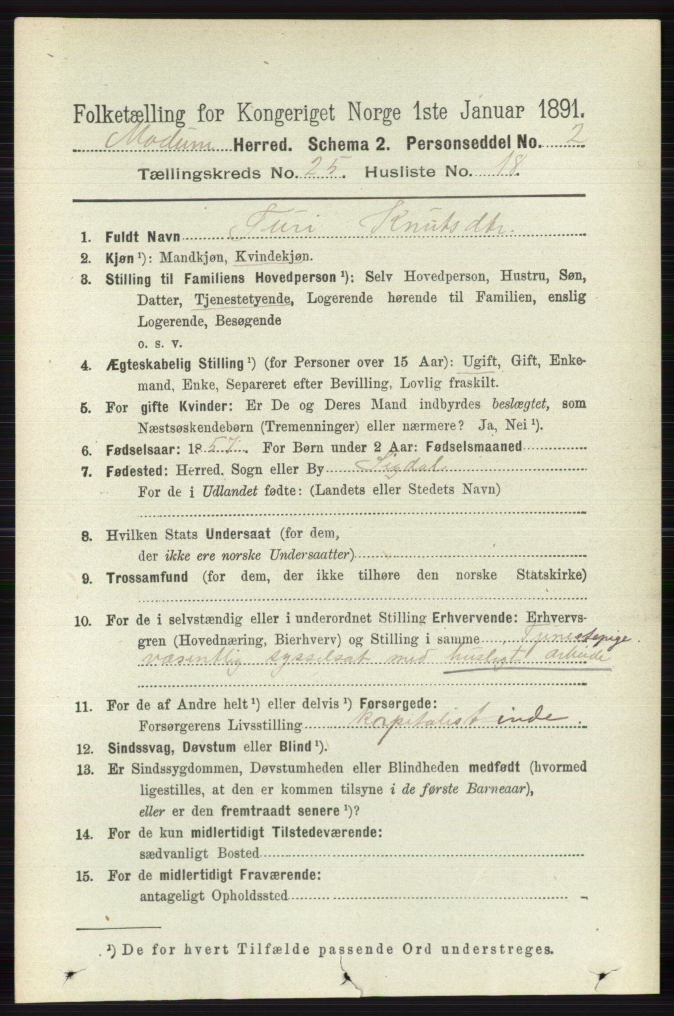 RA, 1891 census for 0623 Modum, 1891, p. 9131