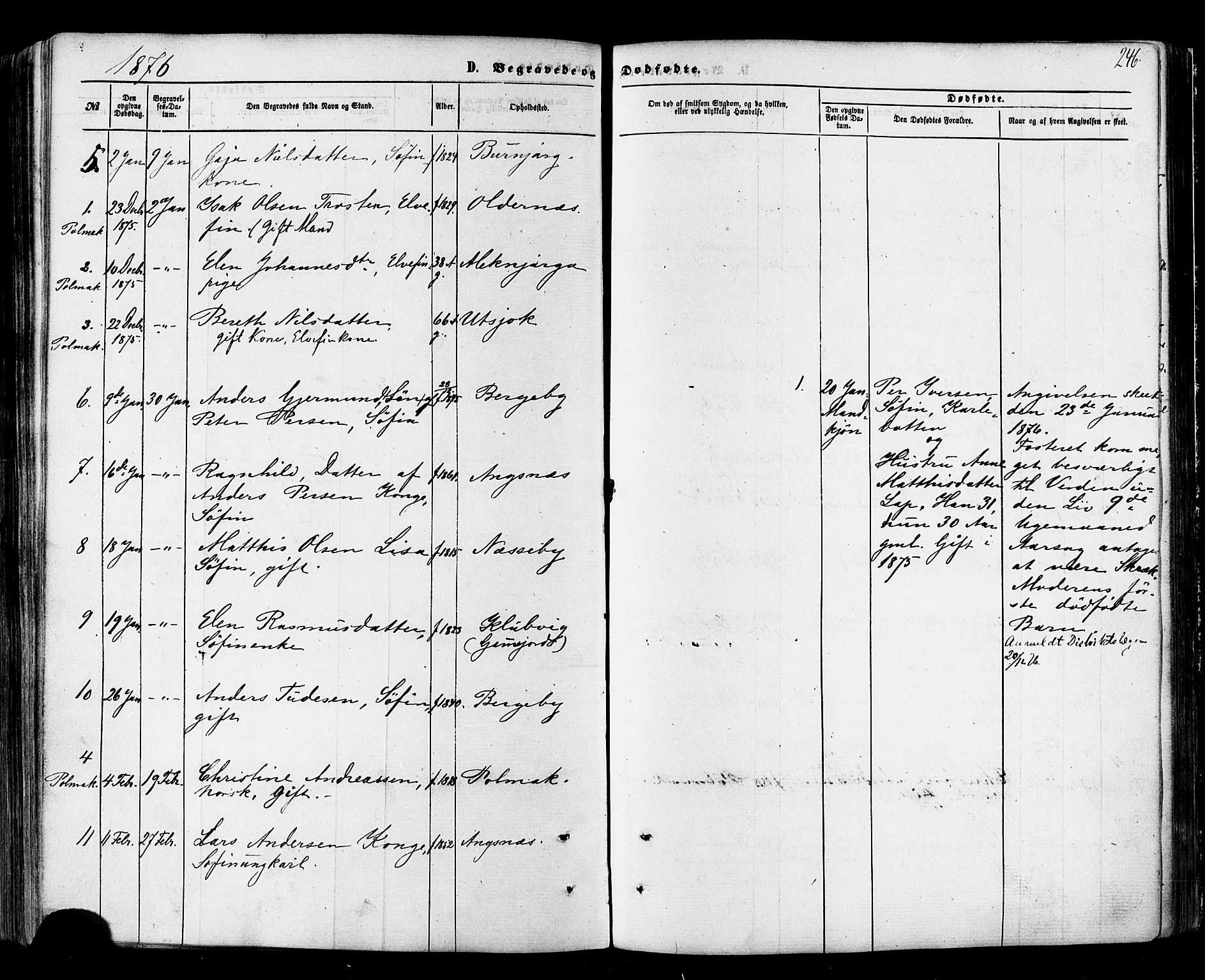 Nesseby sokneprestkontor, AV/SATØ-S-1330/H/Ha/L0003kirke: Parish register (official) no. 3 /1, 1865-1876, p. 246