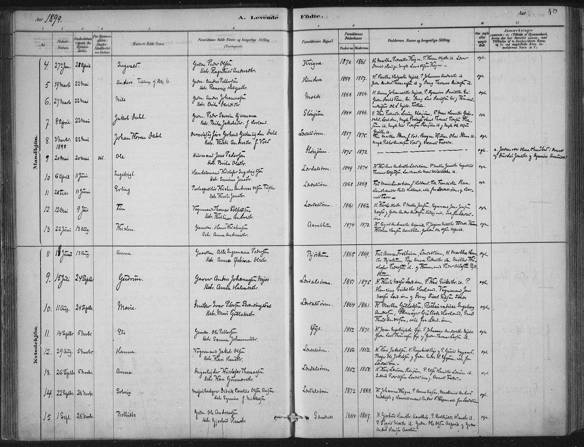 Lærdal sokneprestembete, SAB/A-81201: Parish register (official) no. D  1, 1878-1908, p. 48