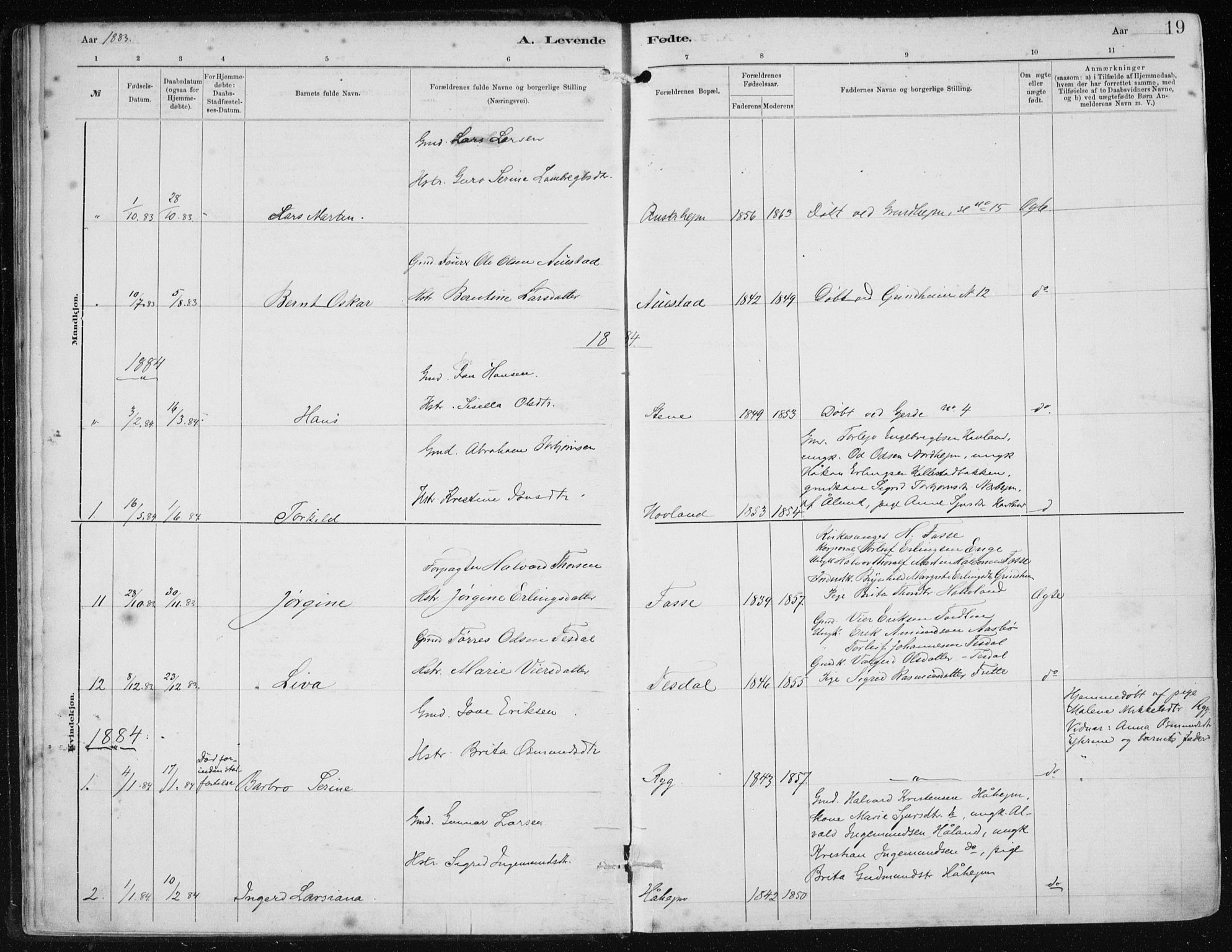 Etne sokneprestembete, SAB/A-75001/H/Haa: Parish register (official) no. B  1, 1879-1919, p. 19