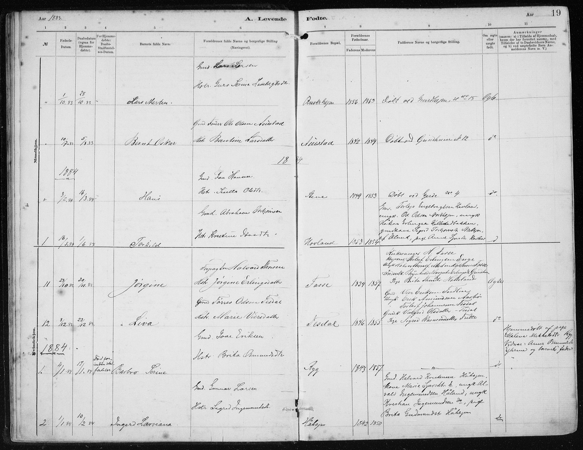 Etne sokneprestembete, AV/SAB-A-75001/H/Haa: Parish register (official) no. B  1, 1879-1919, p. 19