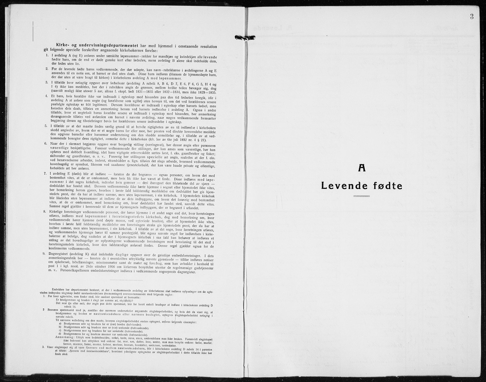 Jevnaker prestekontor, SAH/PREST-116/H/Ha/Hab/L0005: Parish register (copy) no. 5, 1919-1934, p. 3