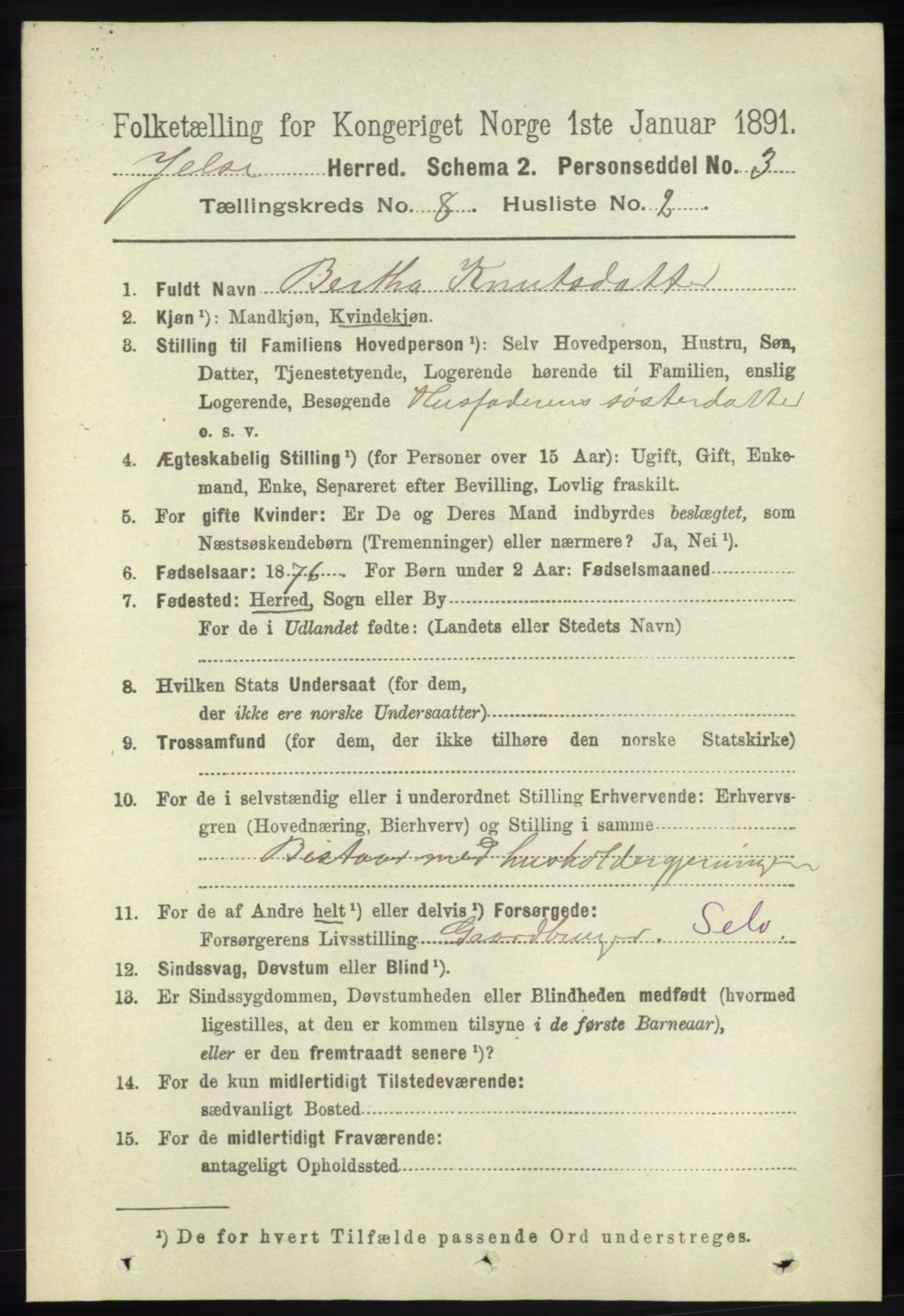 RA, 1891 census for 1138 Jelsa, 1891, p. 1813