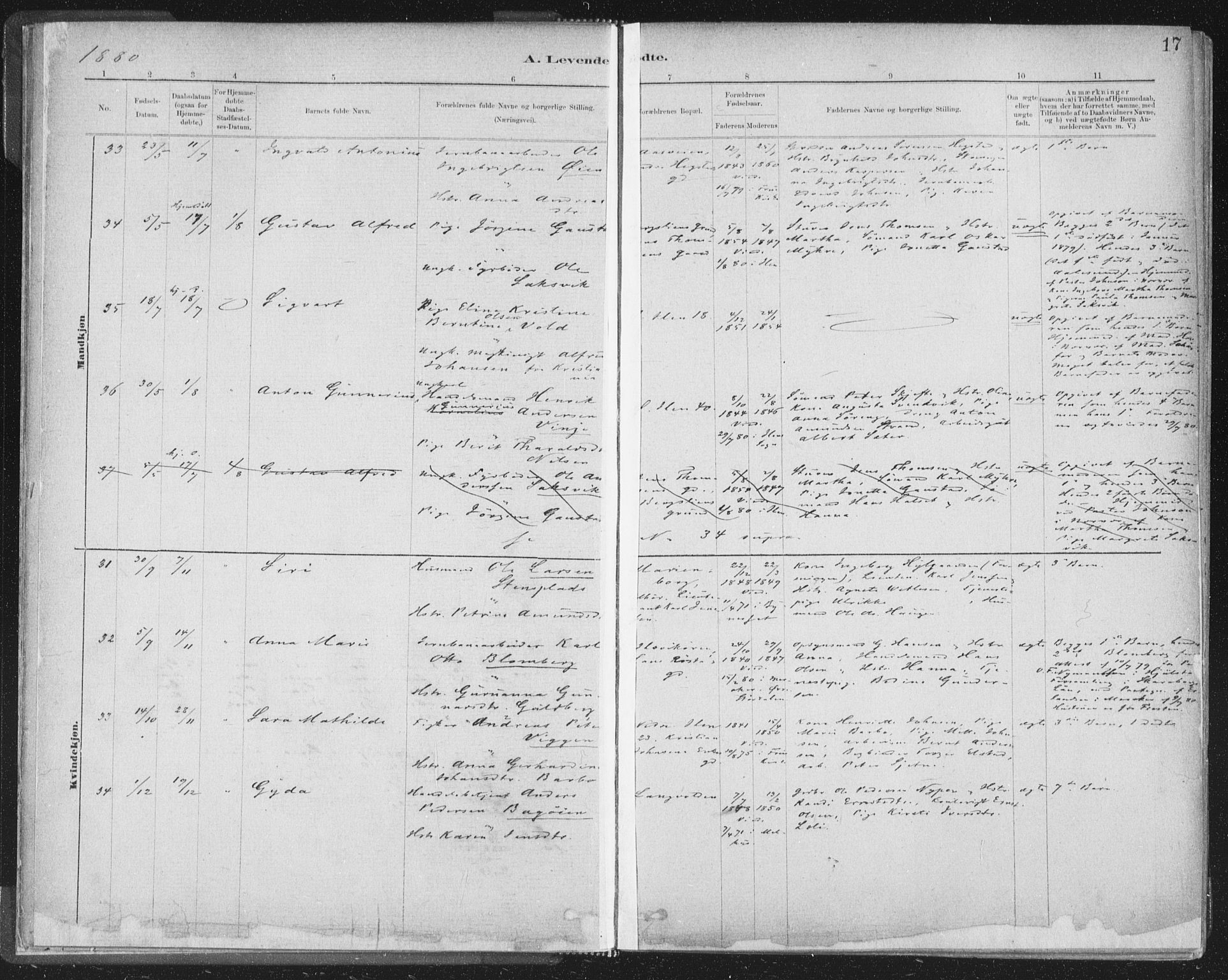 Ministerialprotokoller, klokkerbøker og fødselsregistre - Sør-Trøndelag, AV/SAT-A-1456/603/L0162: Parish register (official) no. 603A01, 1879-1895, p. 17