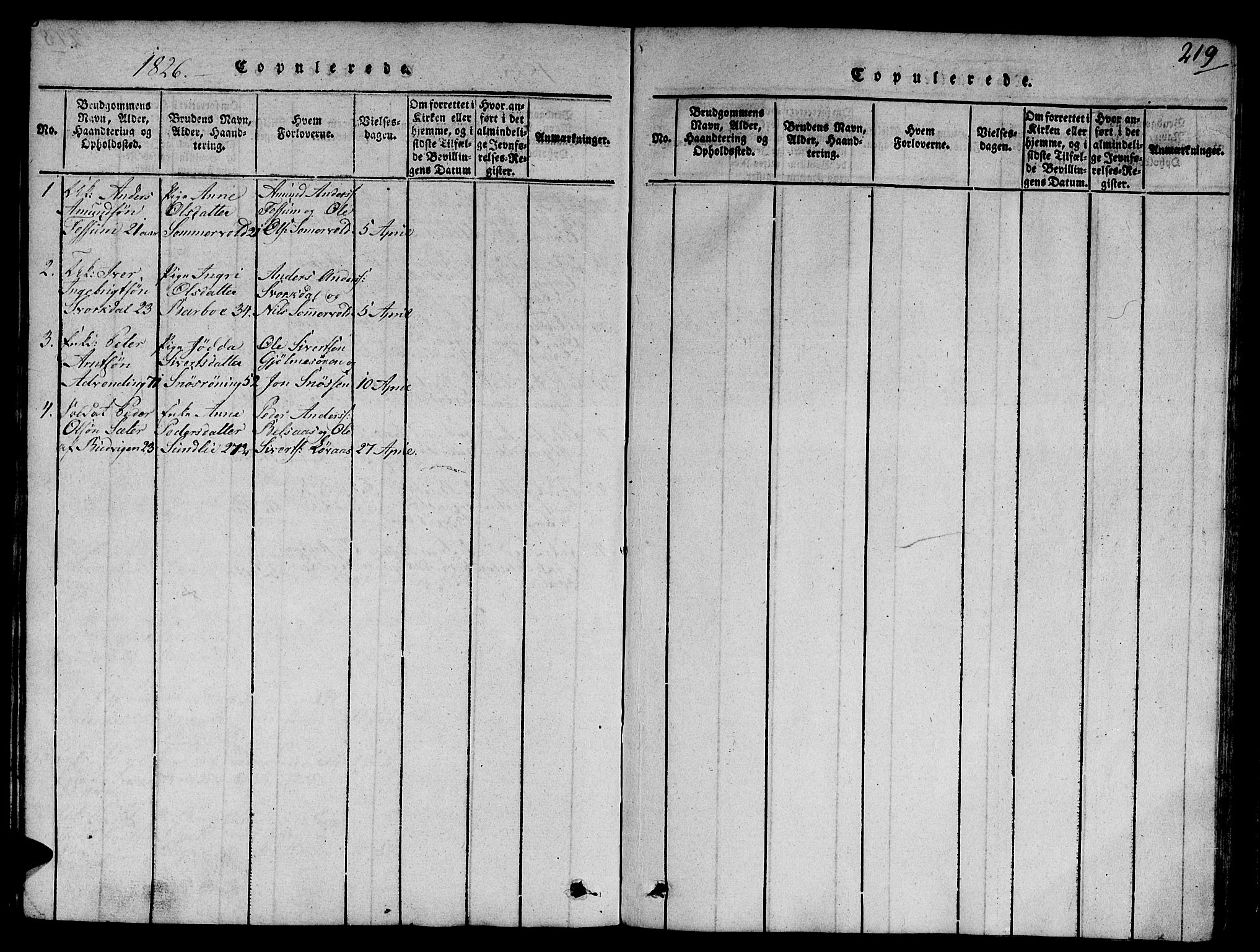 Ministerialprotokoller, klokkerbøker og fødselsregistre - Sør-Trøndelag, SAT/A-1456/668/L0803: Parish register (official) no. 668A03, 1800-1826, p. 219