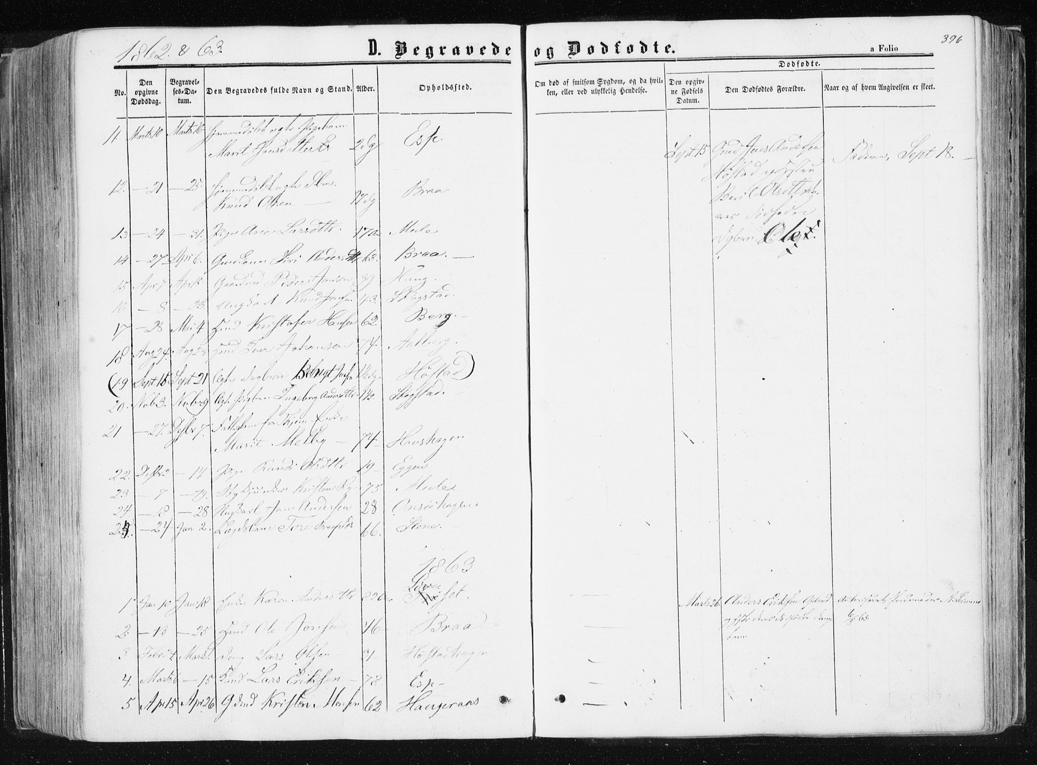 Ministerialprotokoller, klokkerbøker og fødselsregistre - Sør-Trøndelag, SAT/A-1456/612/L0377: Parish register (official) no. 612A09, 1859-1877, p. 396