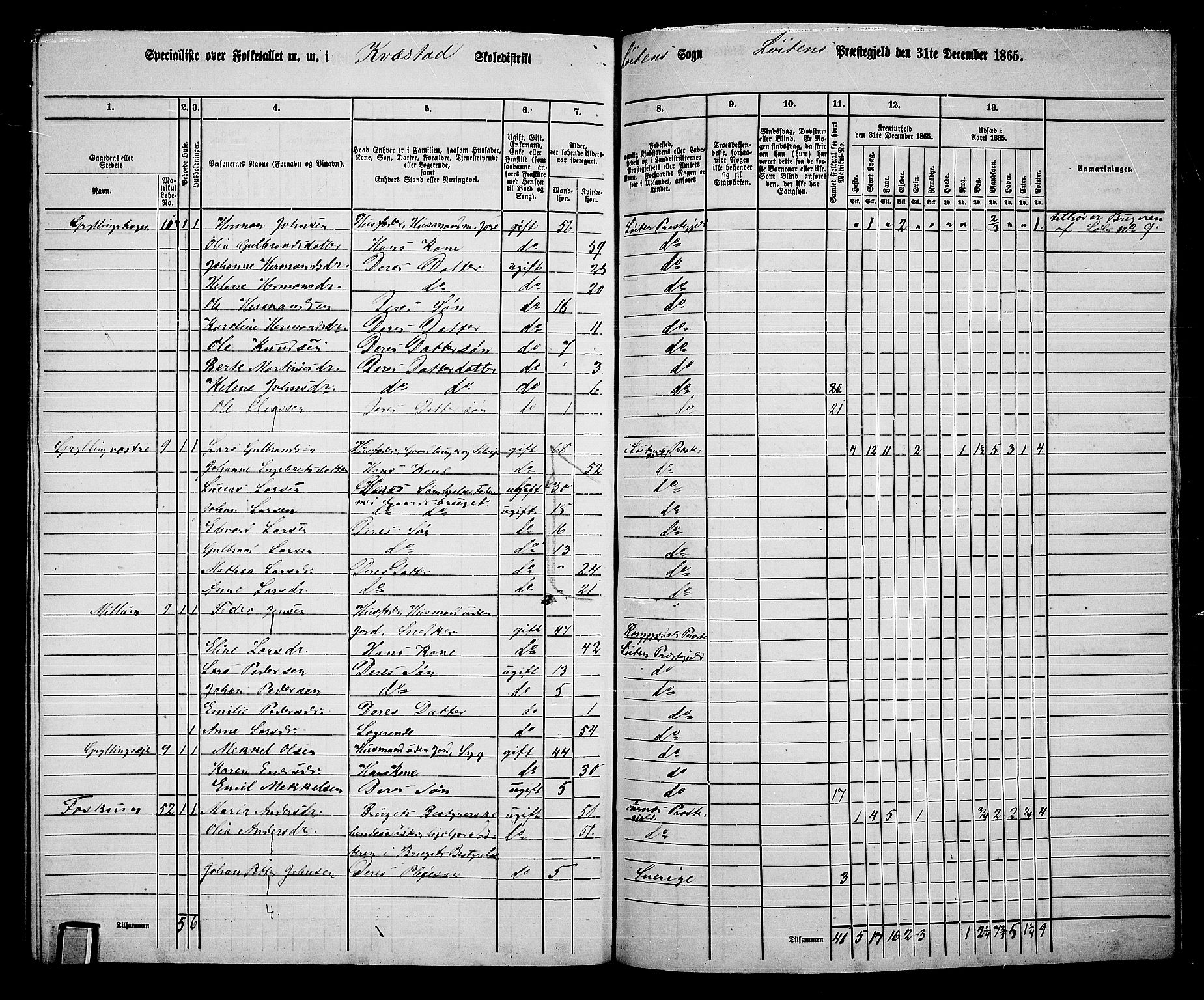 RA, 1865 census for Løten, 1865, p. 173