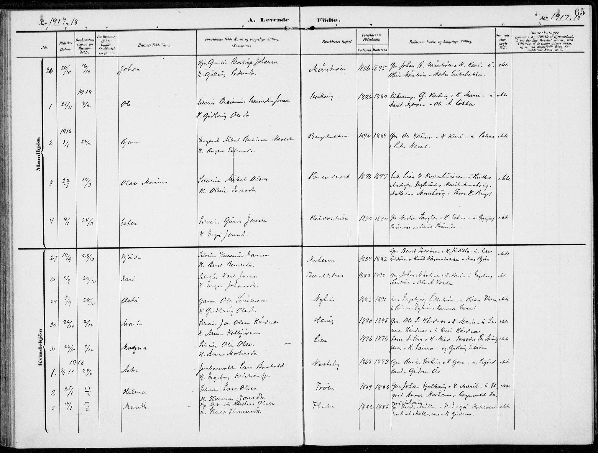 Alvdal prestekontor, AV/SAH-PREST-060/H/Ha/Haa/L0004: Parish register (official) no. 4, 1907-1919, p. 65