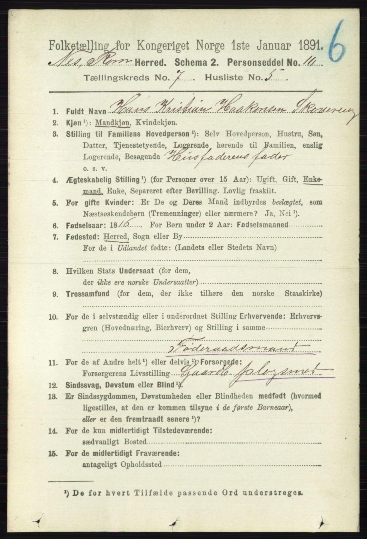RA, 1891 census for 0236 Nes, 1891, p. 4058