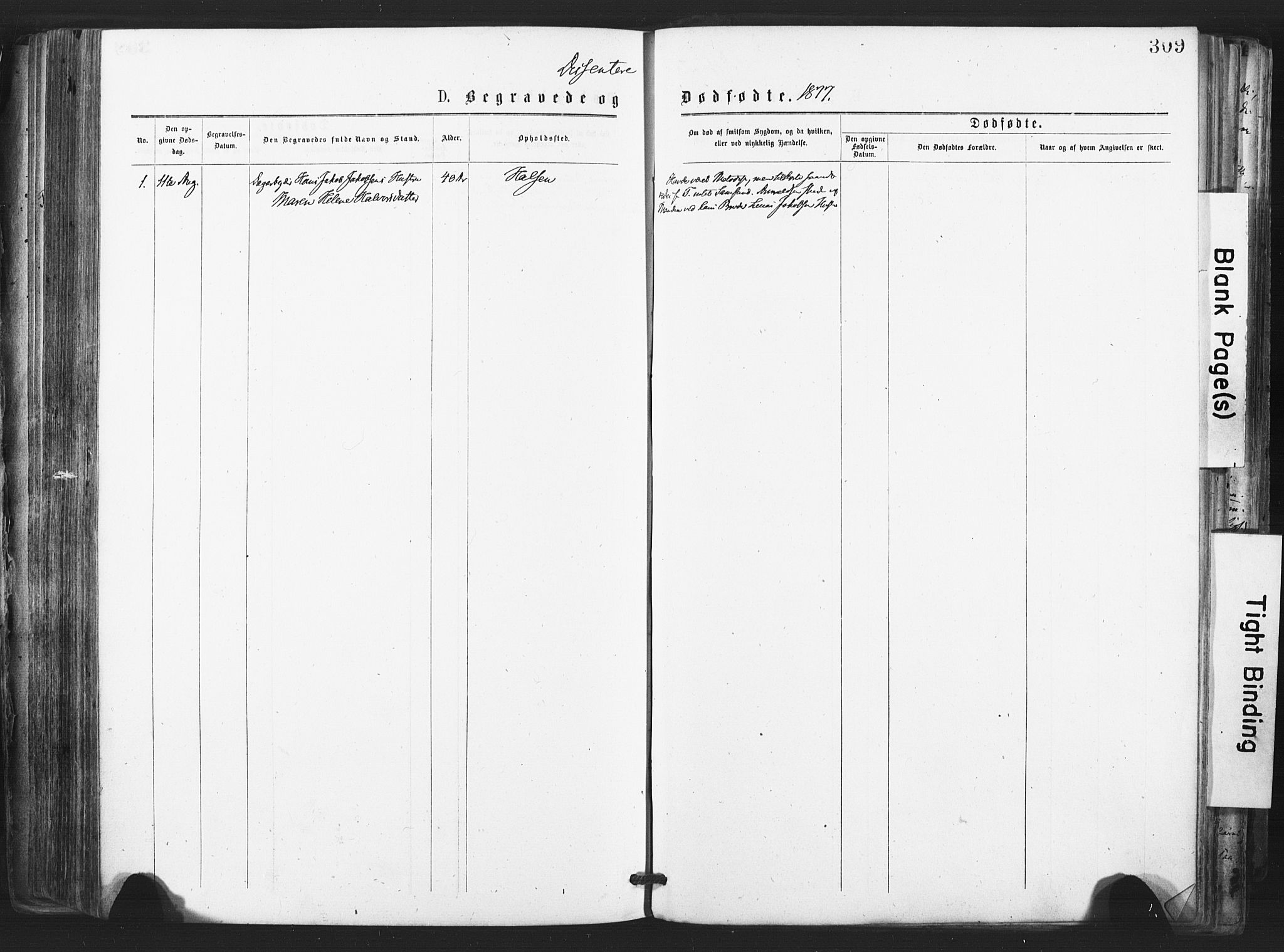 Tjølling kirkebøker, SAKO/A-60/F/Fa/L0008: Parish register (official) no. 8, 1877-1886, p. 309