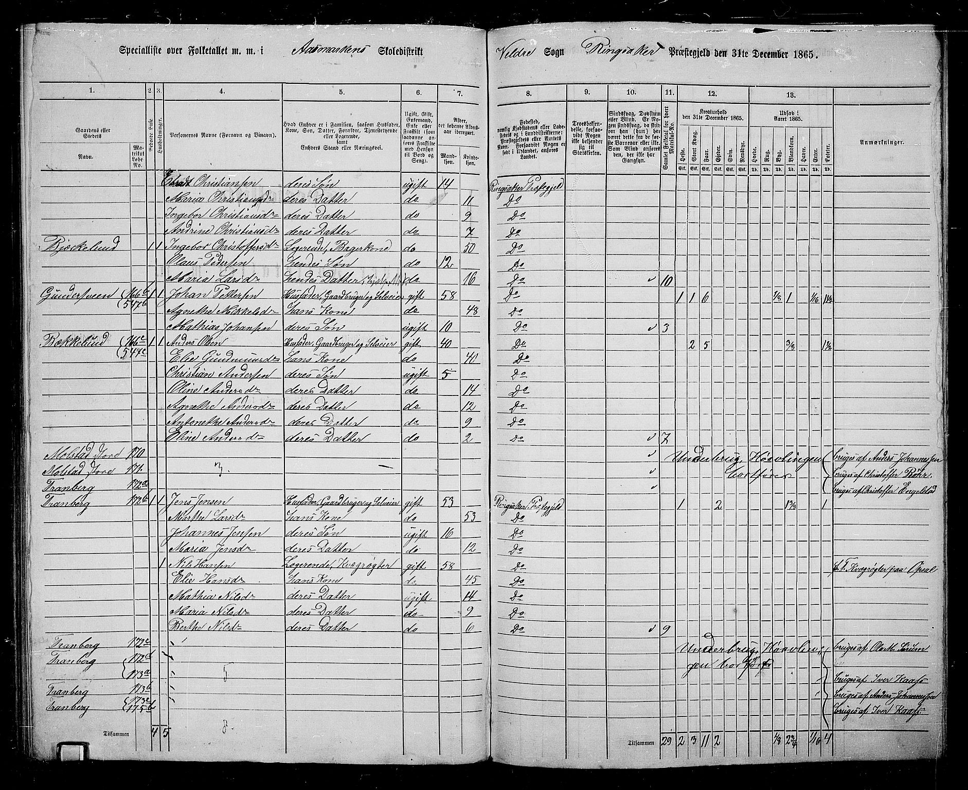 RA, 1865 census for Ringsaker, 1865, p. 222