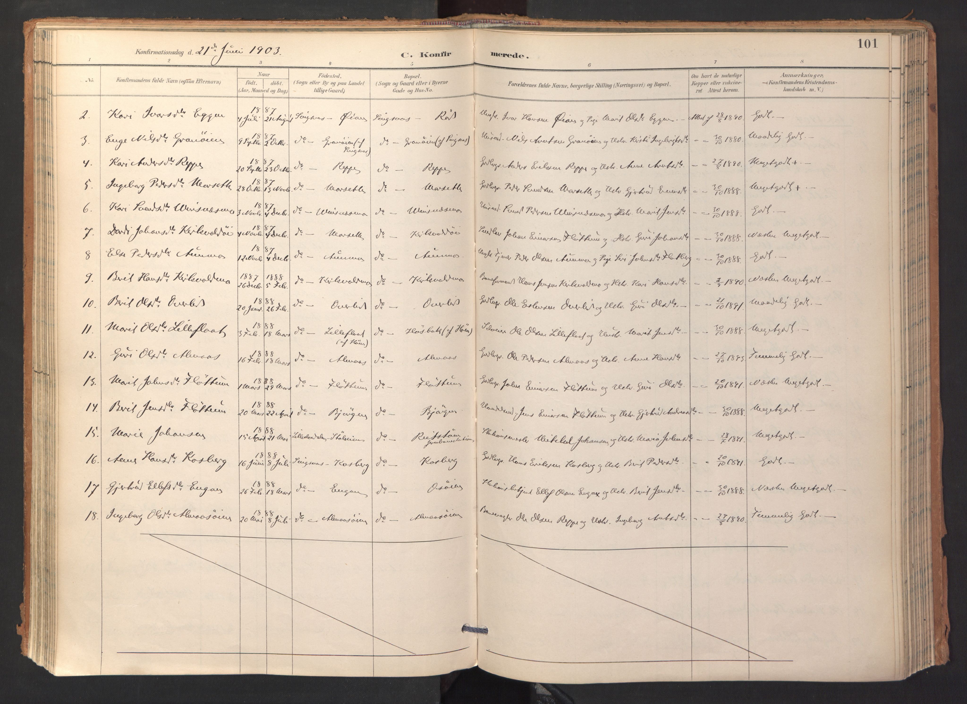 Ministerialprotokoller, klokkerbøker og fødselsregistre - Sør-Trøndelag, SAT/A-1456/688/L1025: Parish register (official) no. 688A02, 1891-1909, p. 101