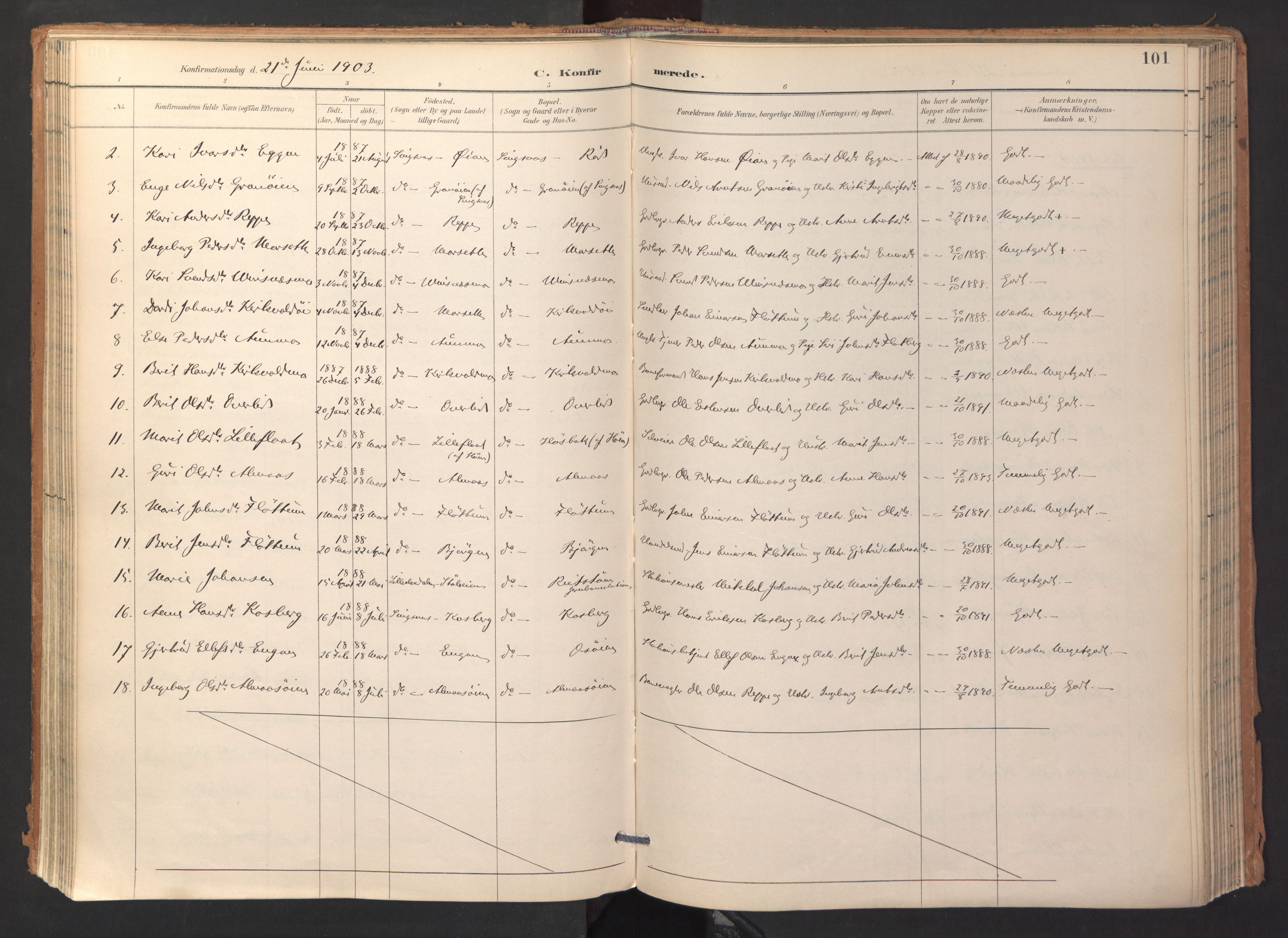 Ministerialprotokoller, klokkerbøker og fødselsregistre - Sør-Trøndelag, AV/SAT-A-1456/688/L1025: Parish register (official) no. 688A02, 1891-1909, p. 101