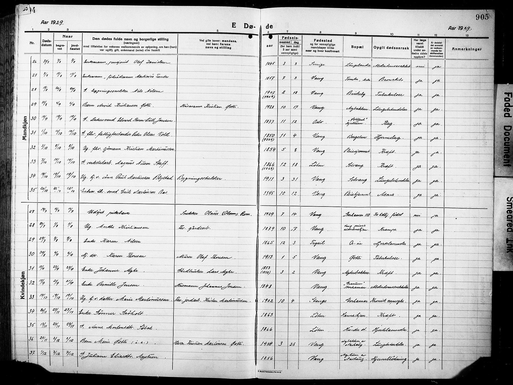 Vang prestekontor, Hedmark, AV/SAH-PREST-008/H/Ha/Hab/L0015: Parish register (copy) no. 15, 1915-1933, p. 904-905