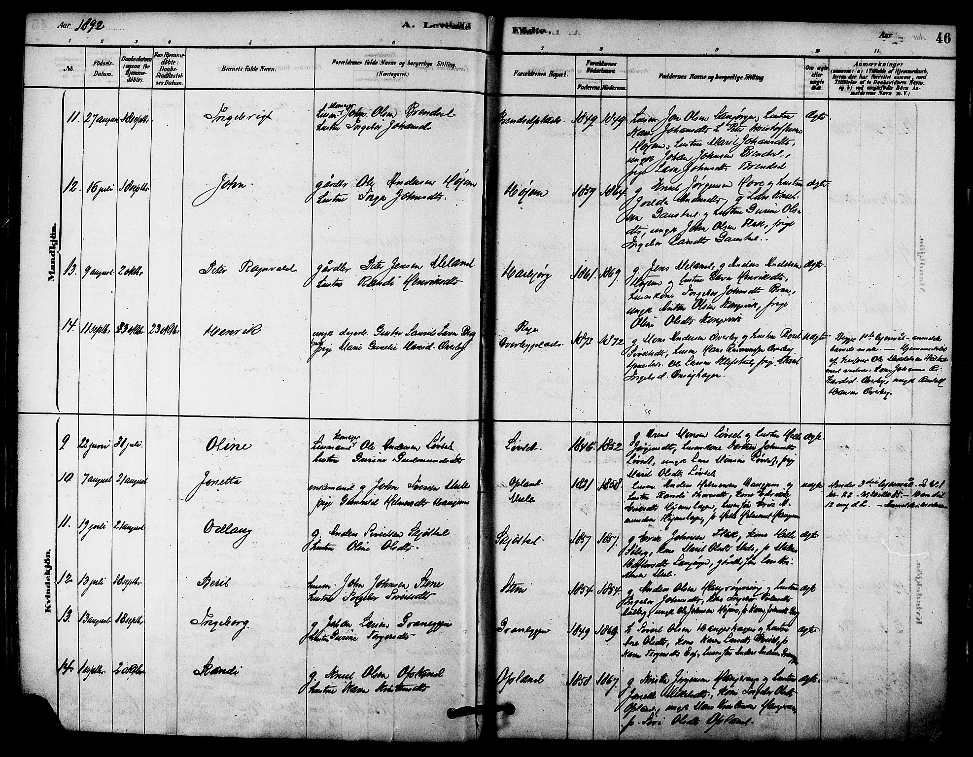 Ministerialprotokoller, klokkerbøker og fødselsregistre - Sør-Trøndelag, AV/SAT-A-1456/612/L0378: Parish register (official) no. 612A10, 1878-1897, p. 46