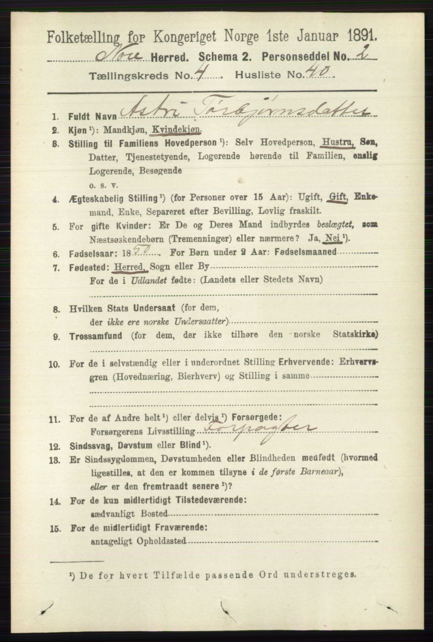 RA, 1891 census for 0633 Nore, 1891, p. 1500