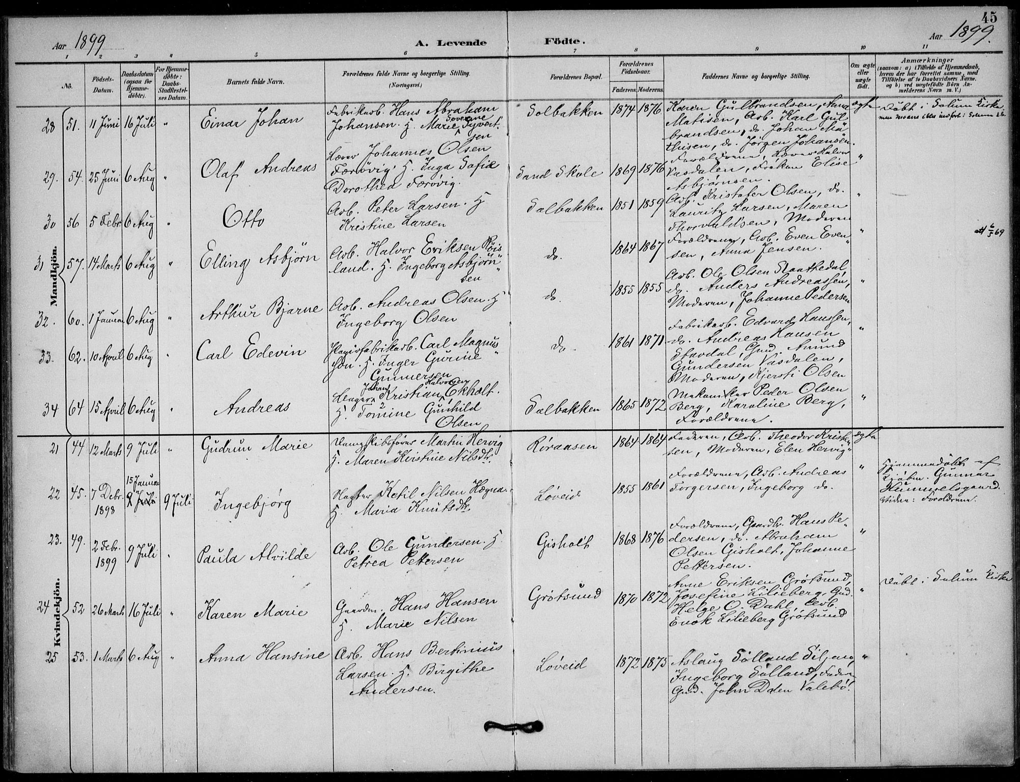 Solum kirkebøker, AV/SAKO-A-306/F/Fb/L0002: Parish register (official) no. II 2, 1893-1901, p. 45