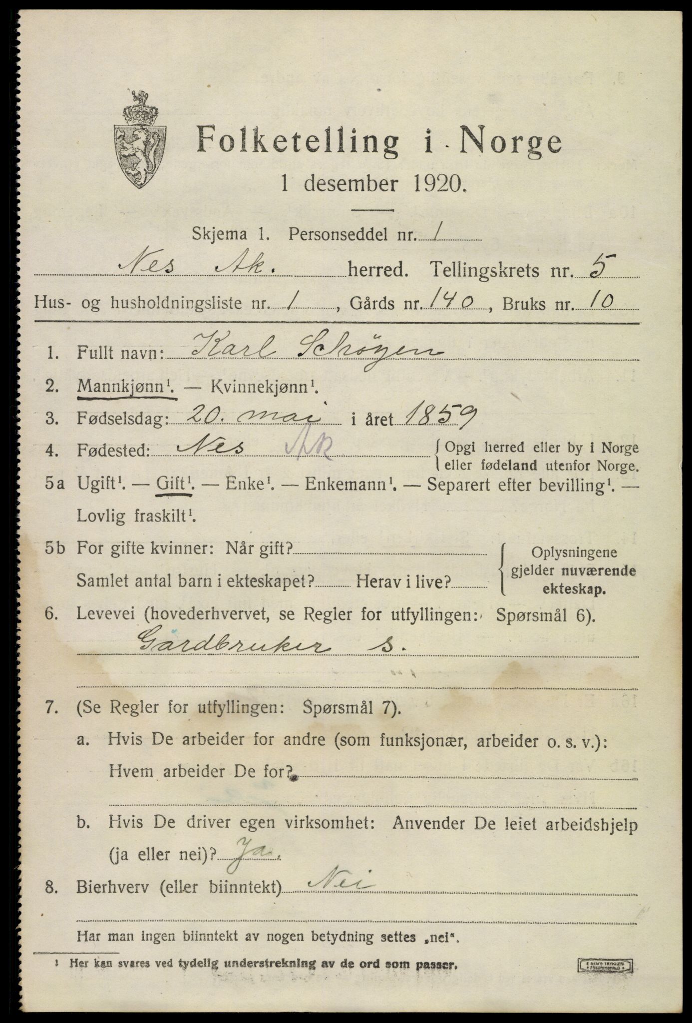 SAO, 1920 census for Nes, 1920, p. 6458