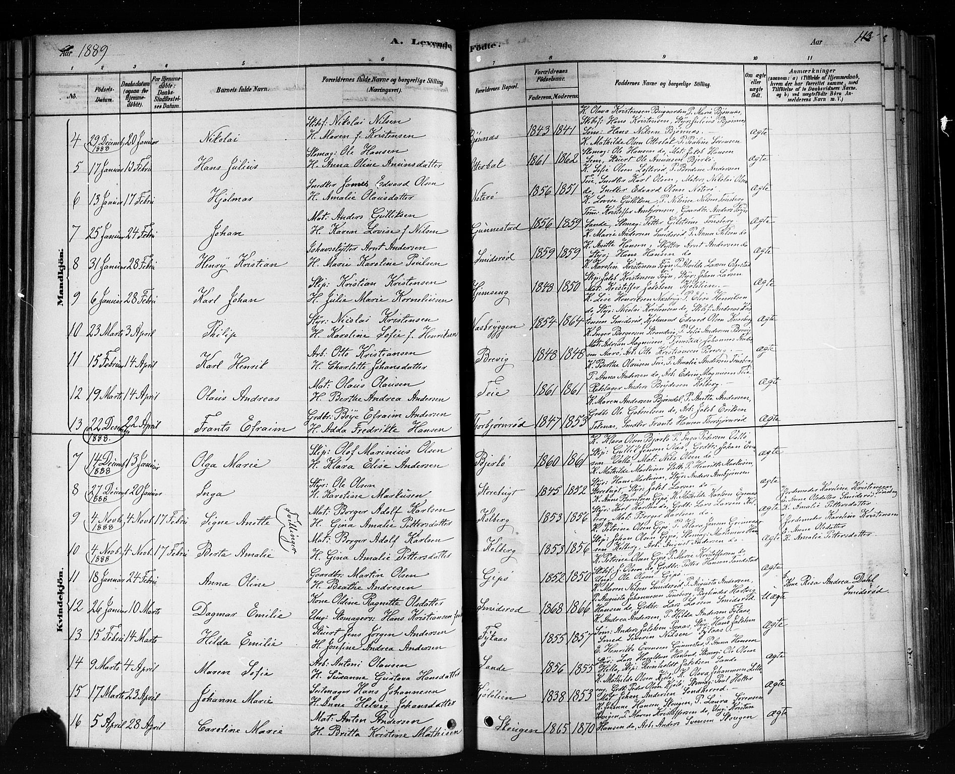 Nøtterøy kirkebøker, AV/SAKO-A-354/F/Fa/L0008: Parish register (official) no. I 8, 1878-1893, p. 113
