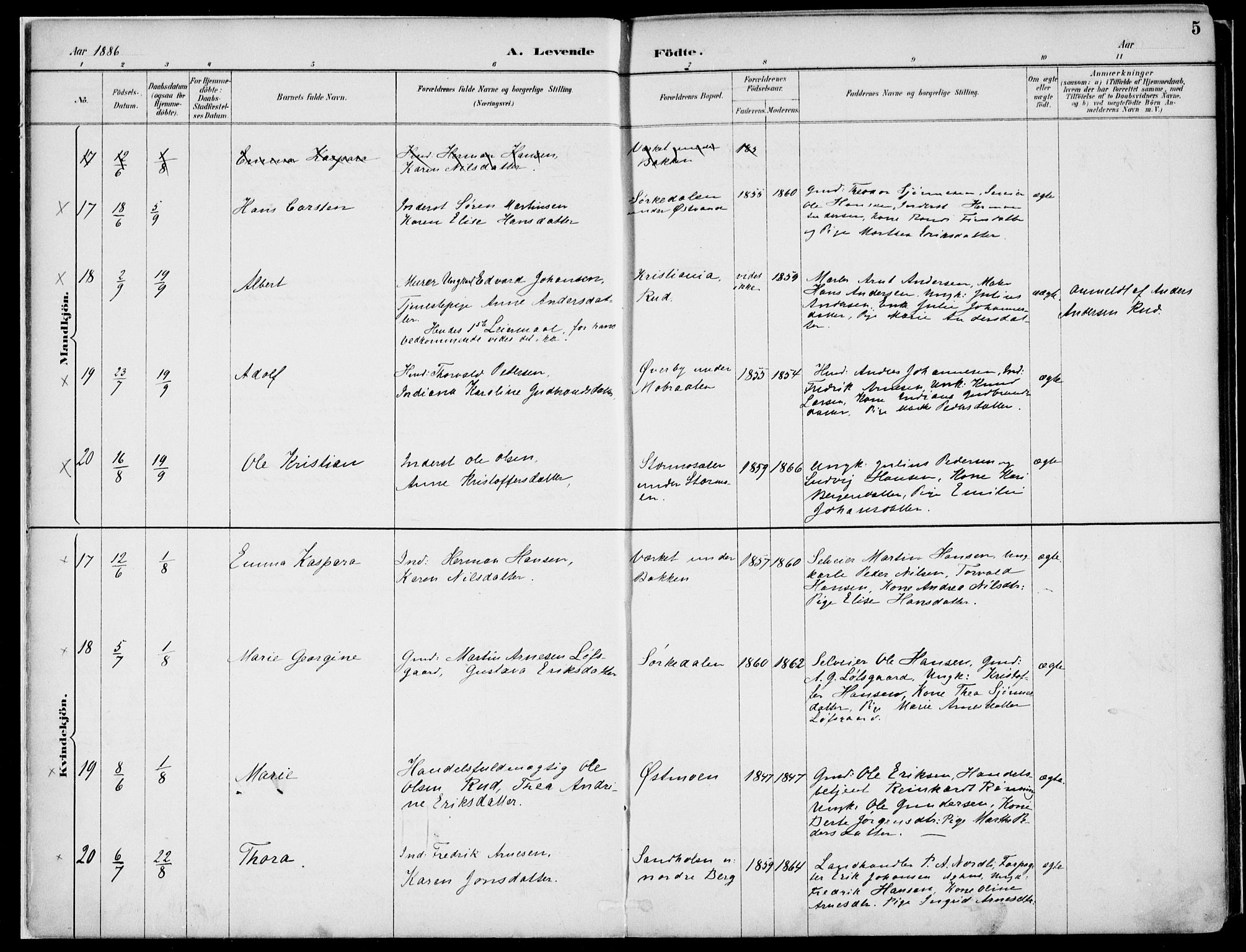 Nord-Odal prestekontor, SAH/PREST-032/H/Ha/Haa/L0008: Parish register (official) no. 8, 1886-1901, p. 5